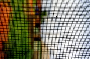 Close-up of a cinematic frame showing abstract AI-generated visuals.