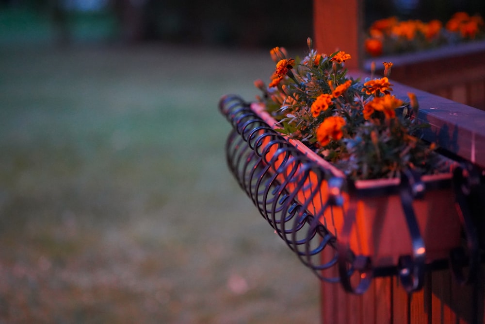 a bicycle with flowers on it