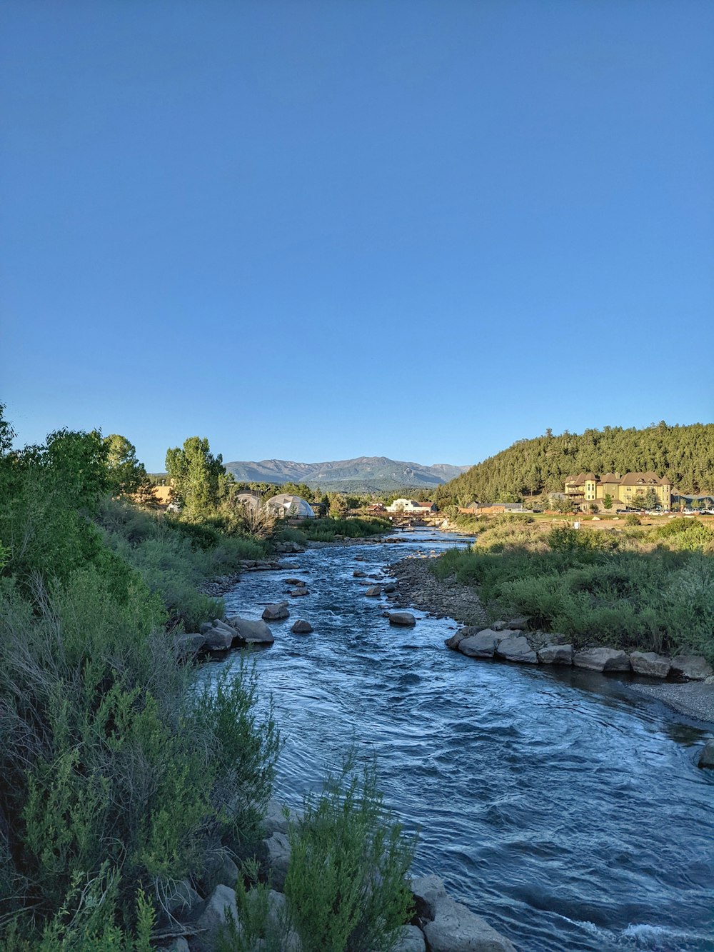 a river with rocks and grass