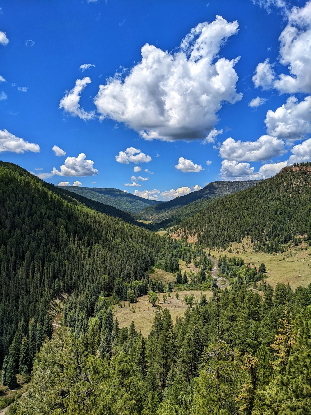 a landscape with trees and mountains