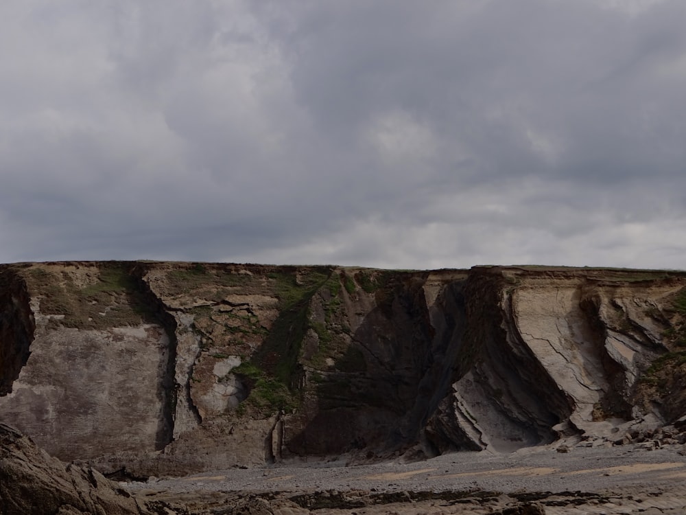 a rocky cliff with a tree