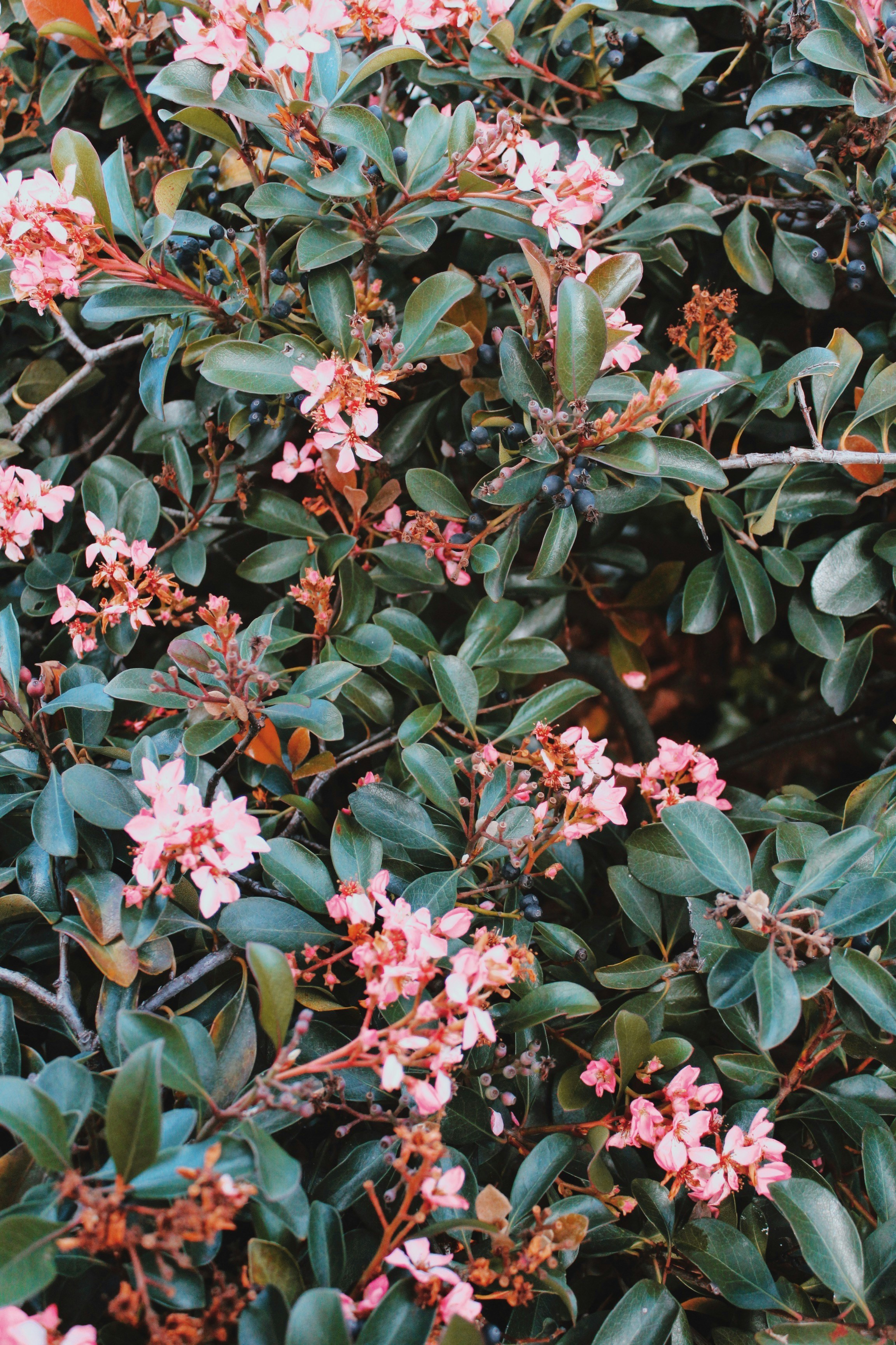 Photo by sophiaarichards