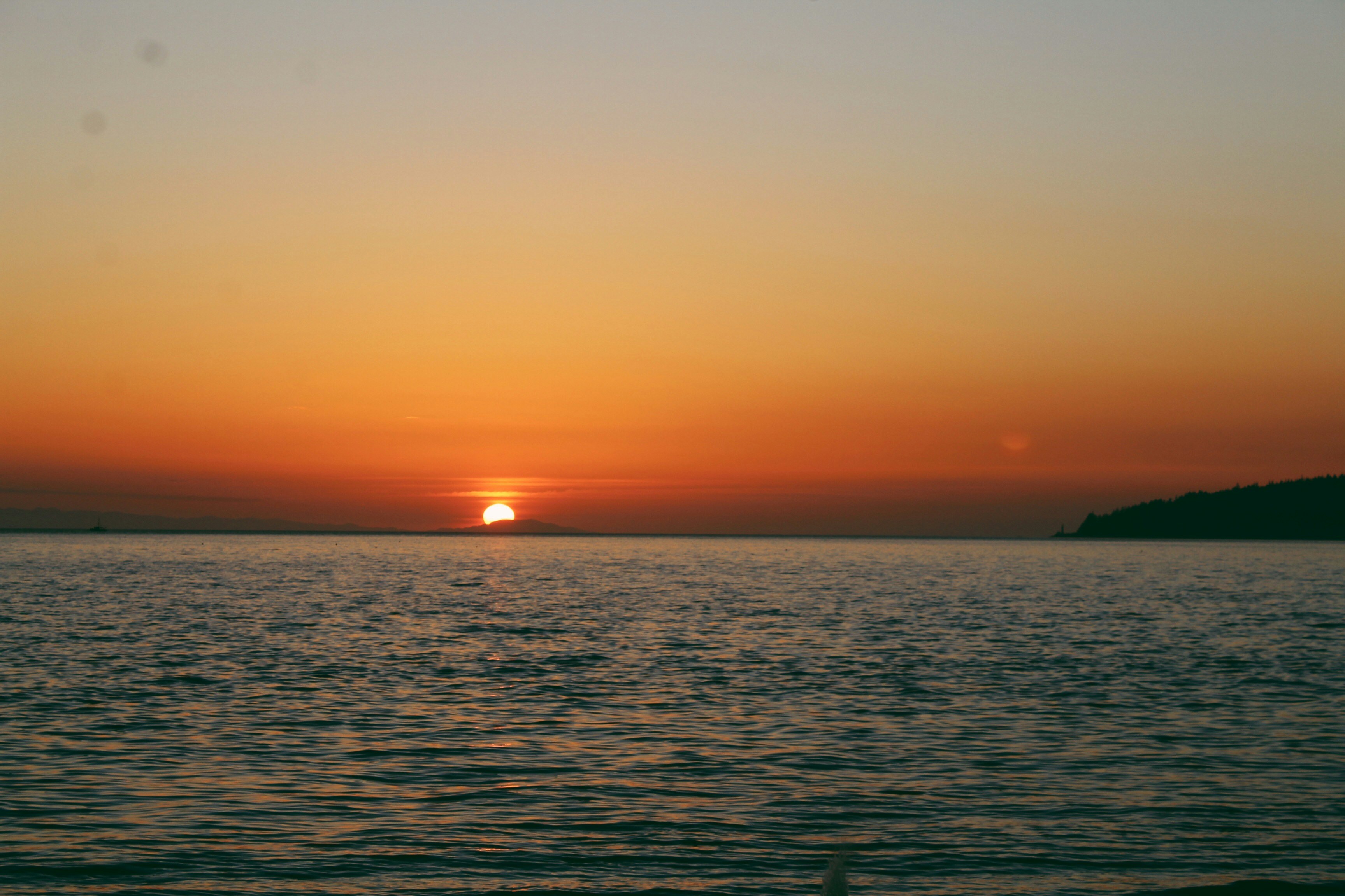 Photo by sophiaarichards