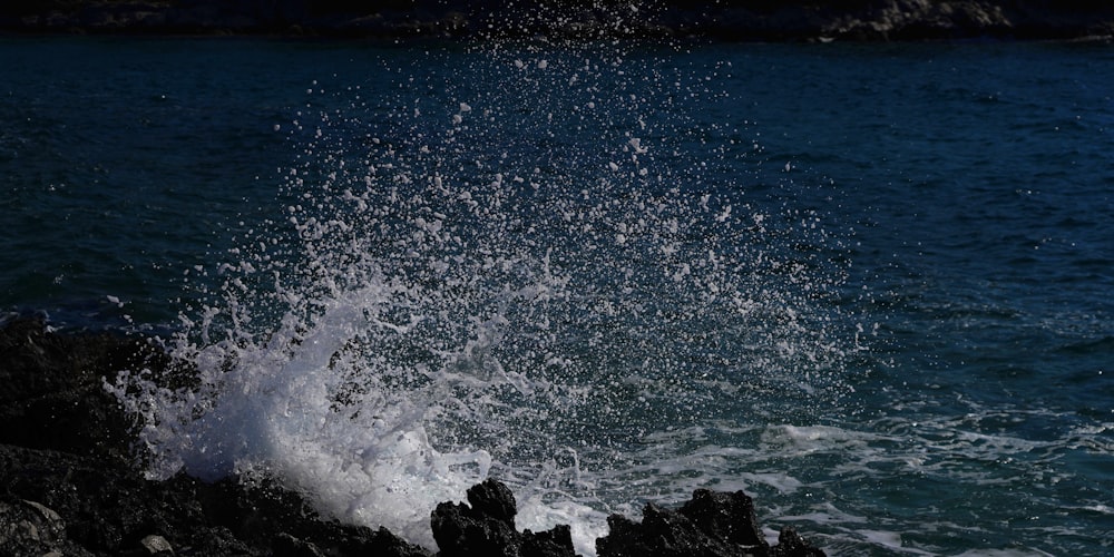 a wave crashing on rocks
