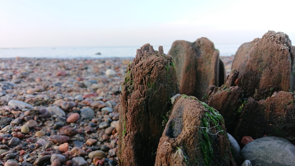 a rocky beach with a large pile of rocks