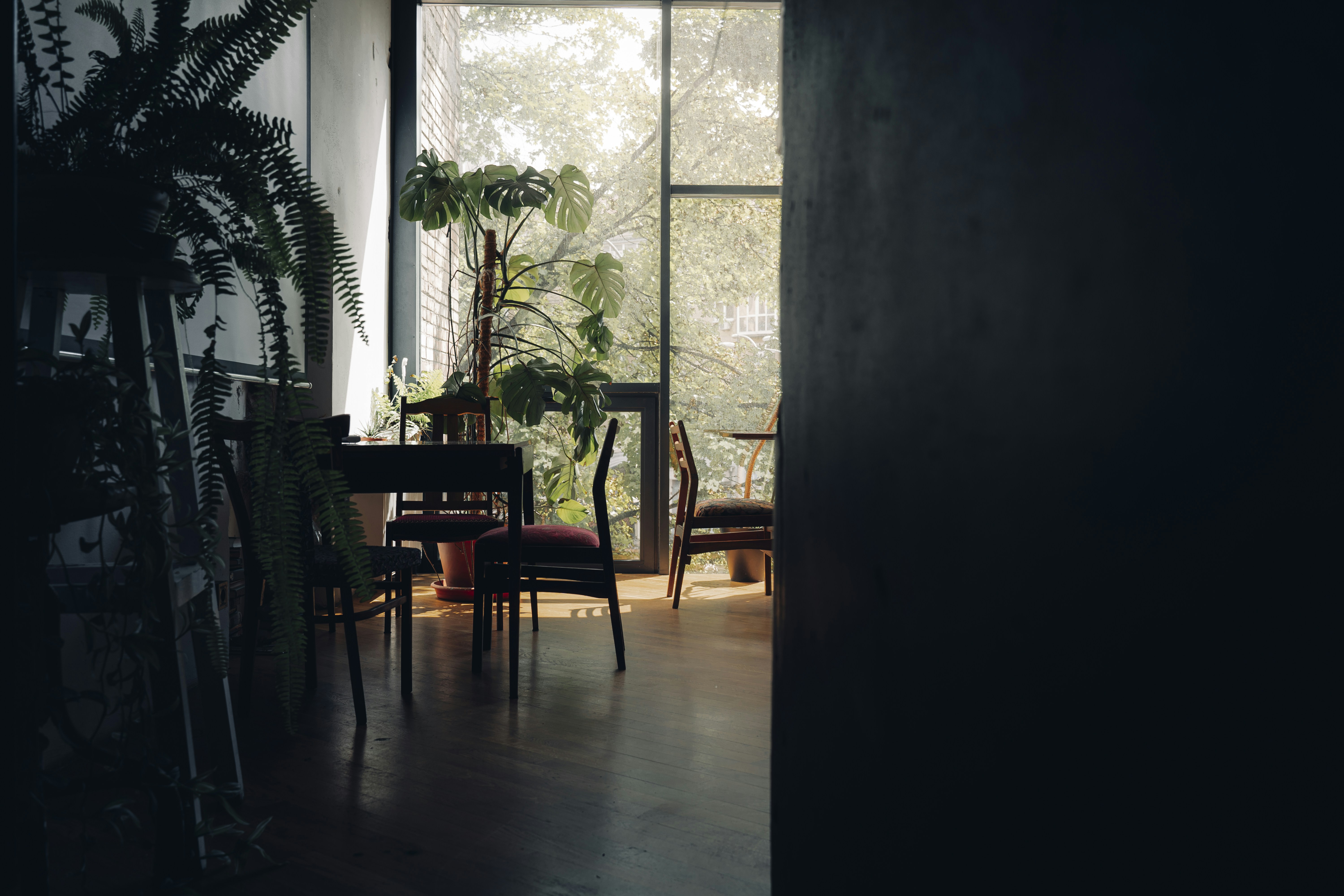 Photo by maksym_tymchyk