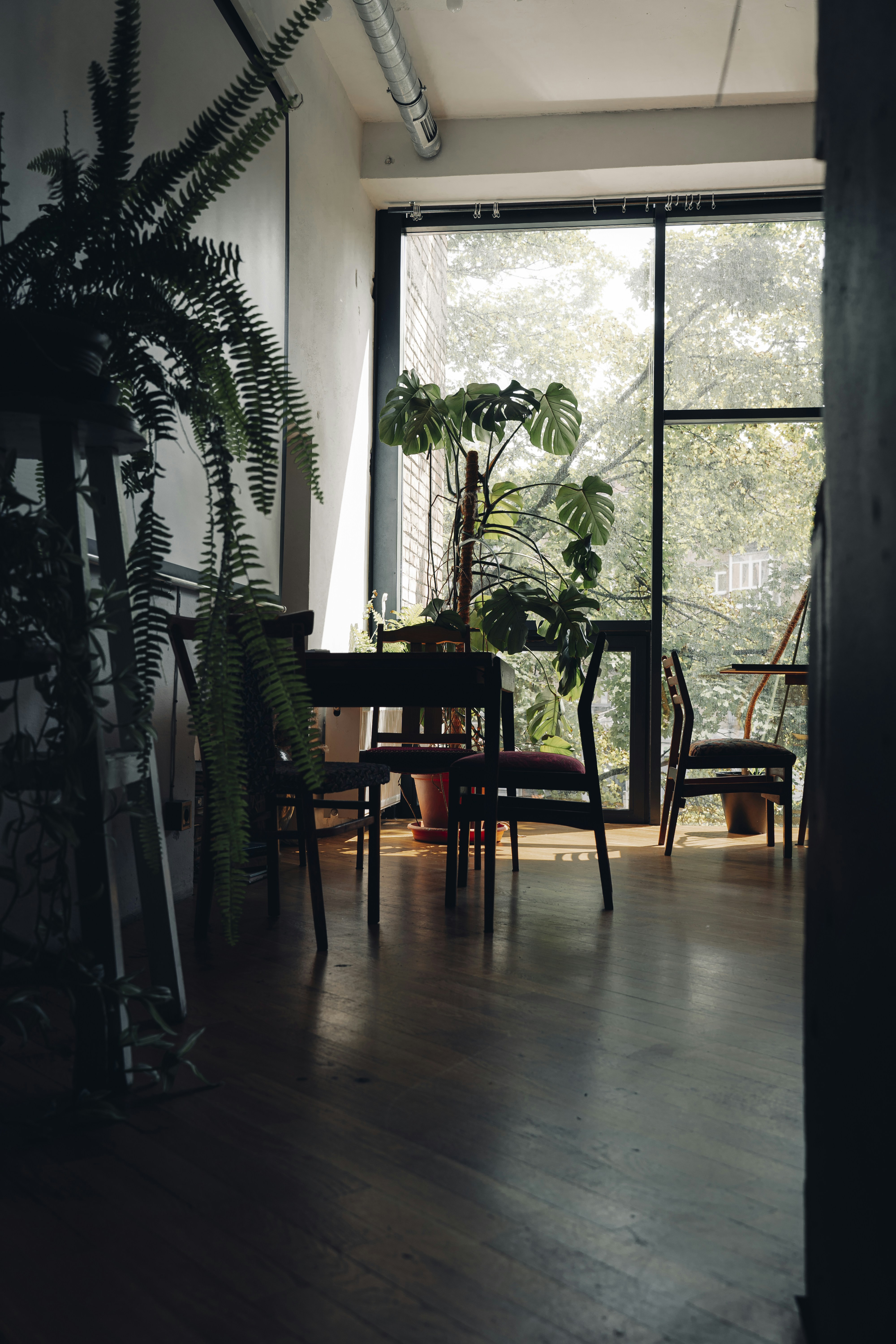 Photo by maksym_tymchyk