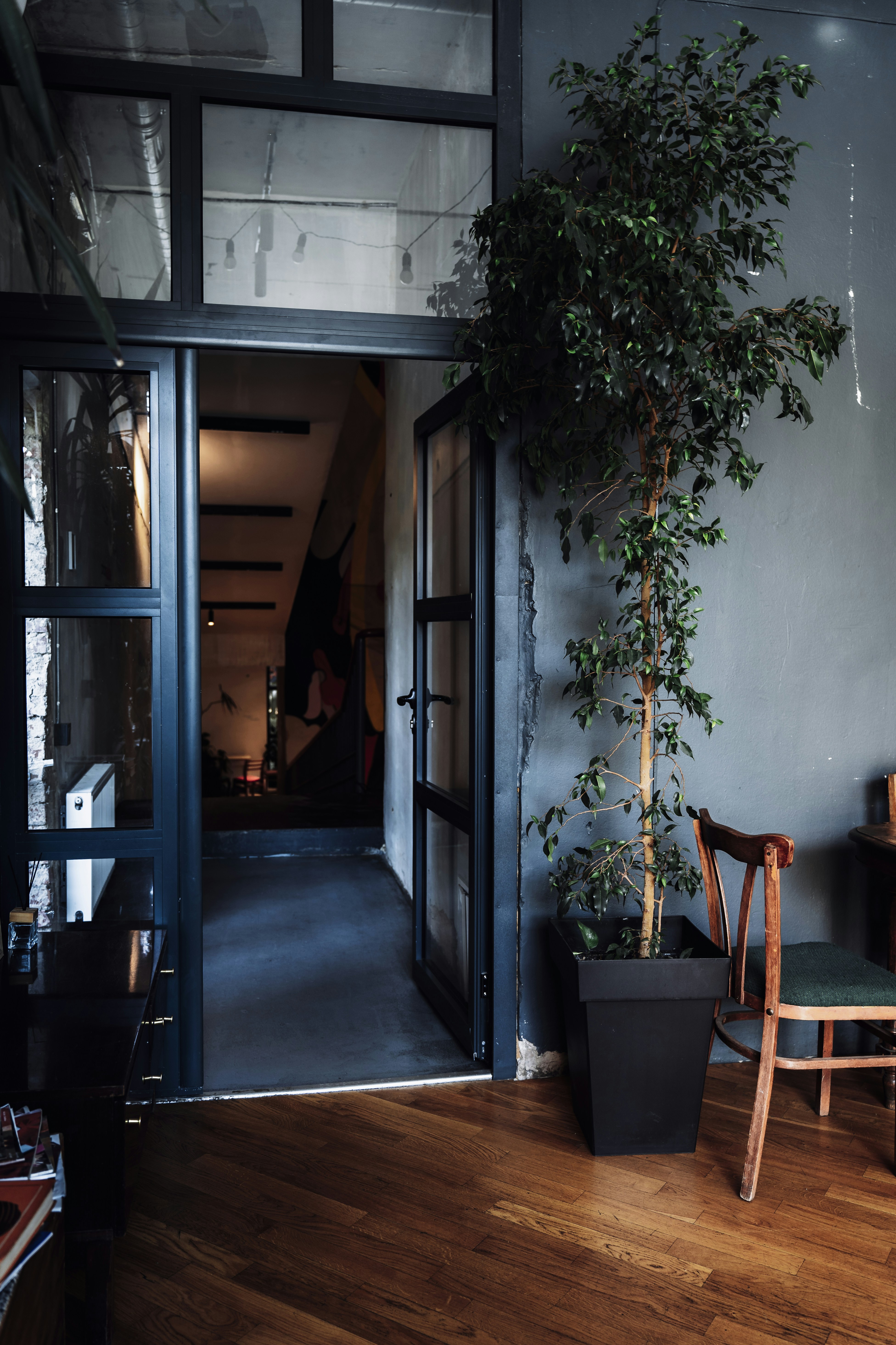 Photo by maksym_tymchyk