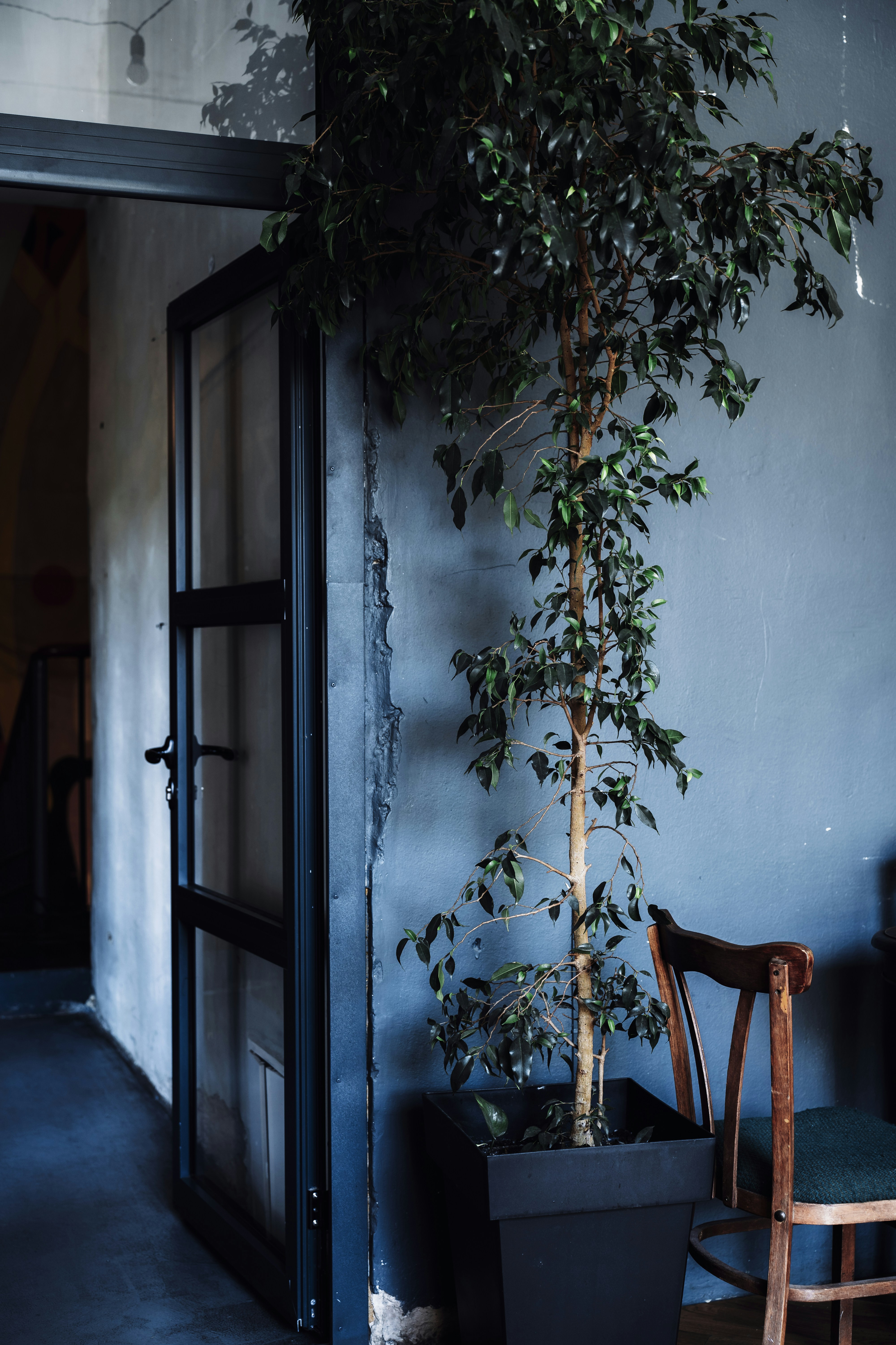 Photo by maksym_tymchyk