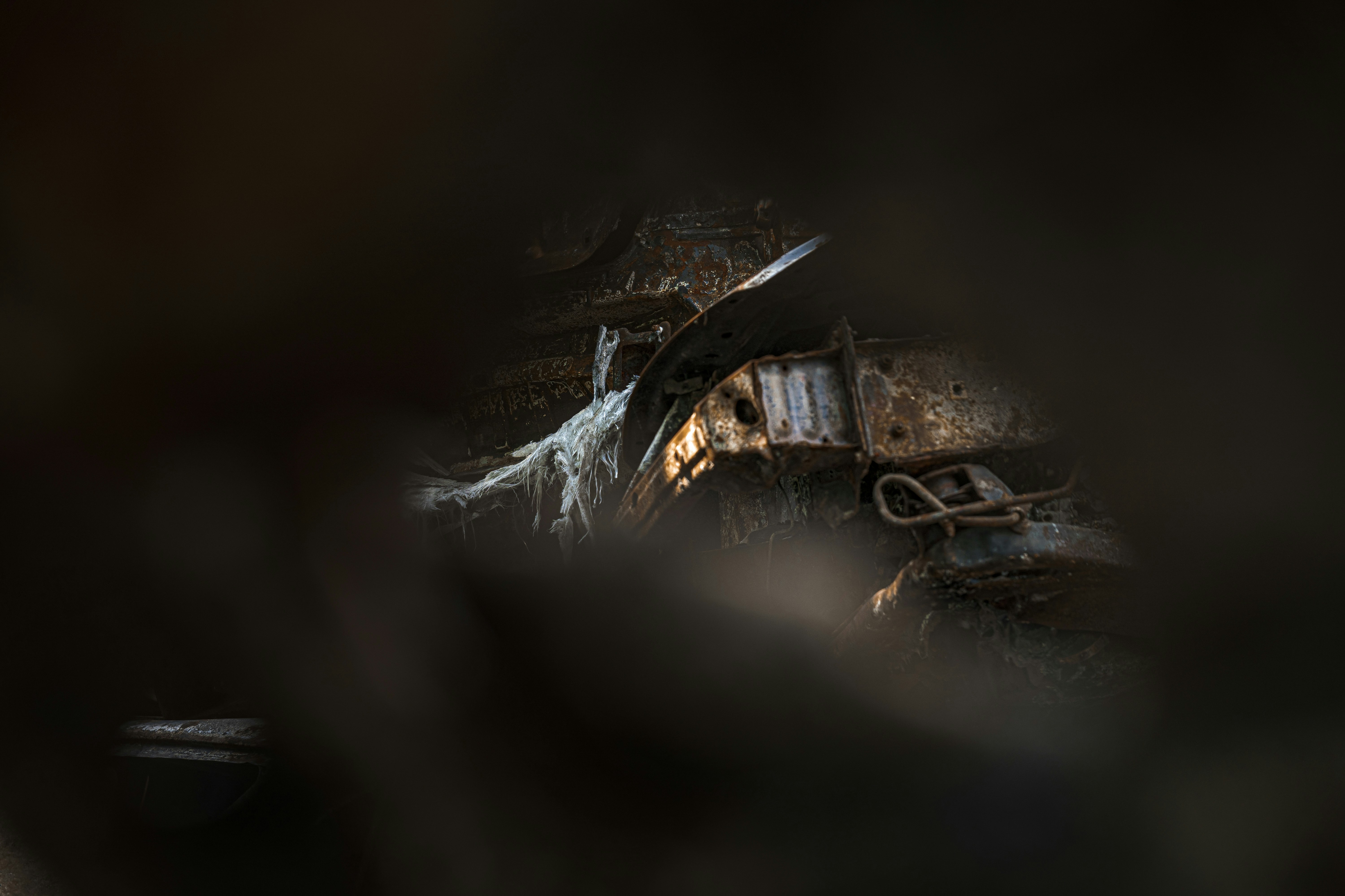 Photo by maksym_tymchyk