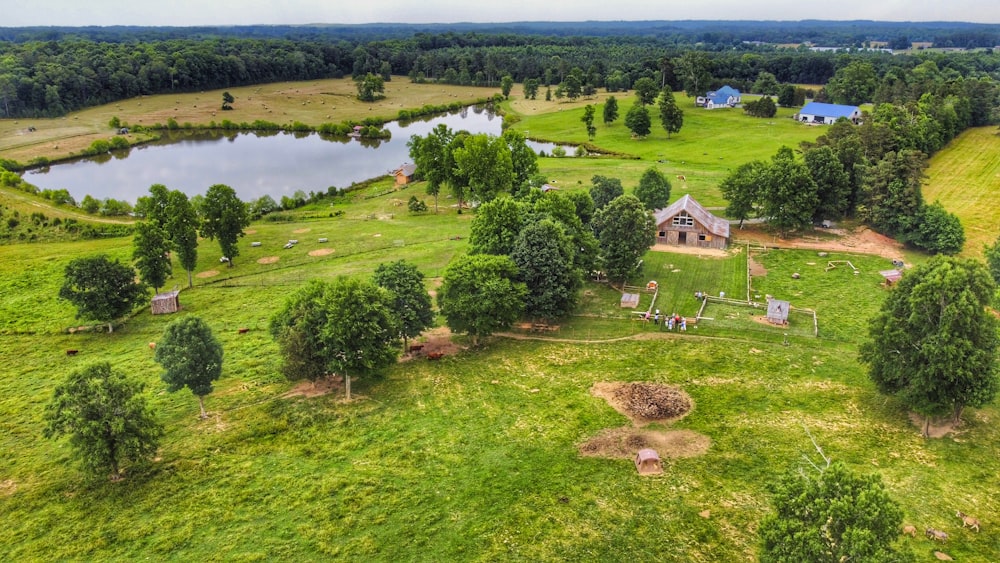 a grassy area with trees and a body of water in the background