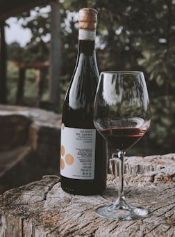 A bottle of Aglianico del Taburno wine stands on a rustic wooden surface, accompanied by a glass half-filled with red wine. The background features blurred greenery from what appears to be an outdoor setting, creating a serene atmosphere.