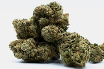 Dried cannabis buds with visible trichomes and orange pistils. The buds are dense and covered in a mixture of green and brownish colors, set against a plain white background.
