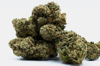 Dried cannabis buds with visible trichomes and orange pistils. The buds are dense and covered in a mixture of green and brownish colors, set against a plain white background.