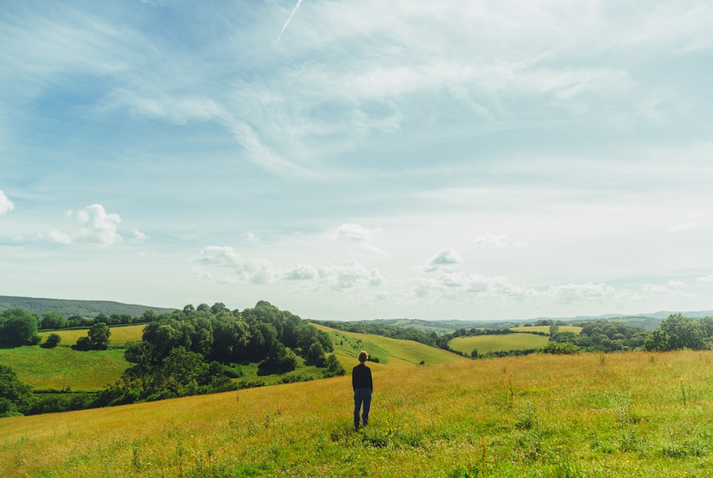 a person standing in a field of yellow flowers