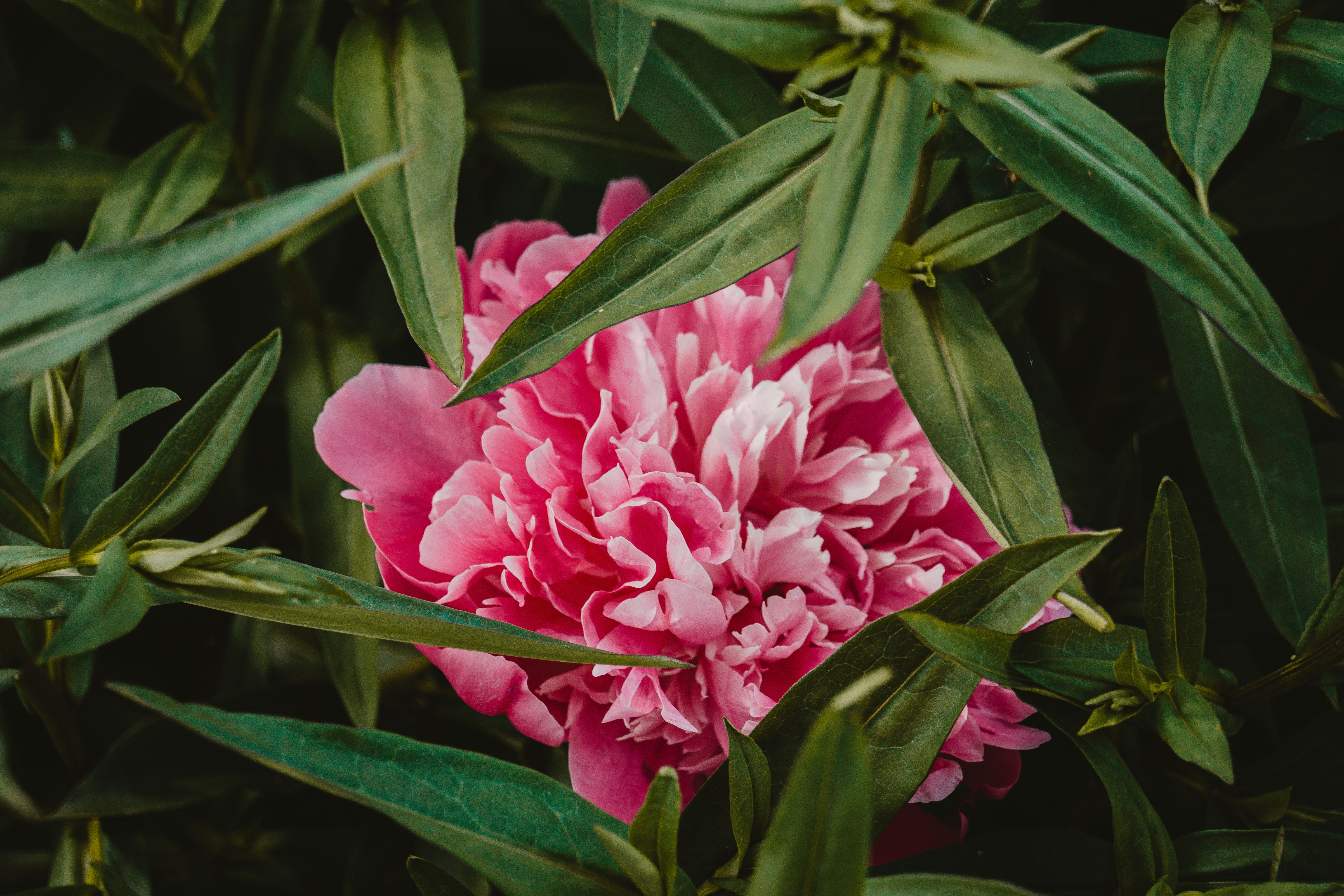 Photo by teddywithfilm