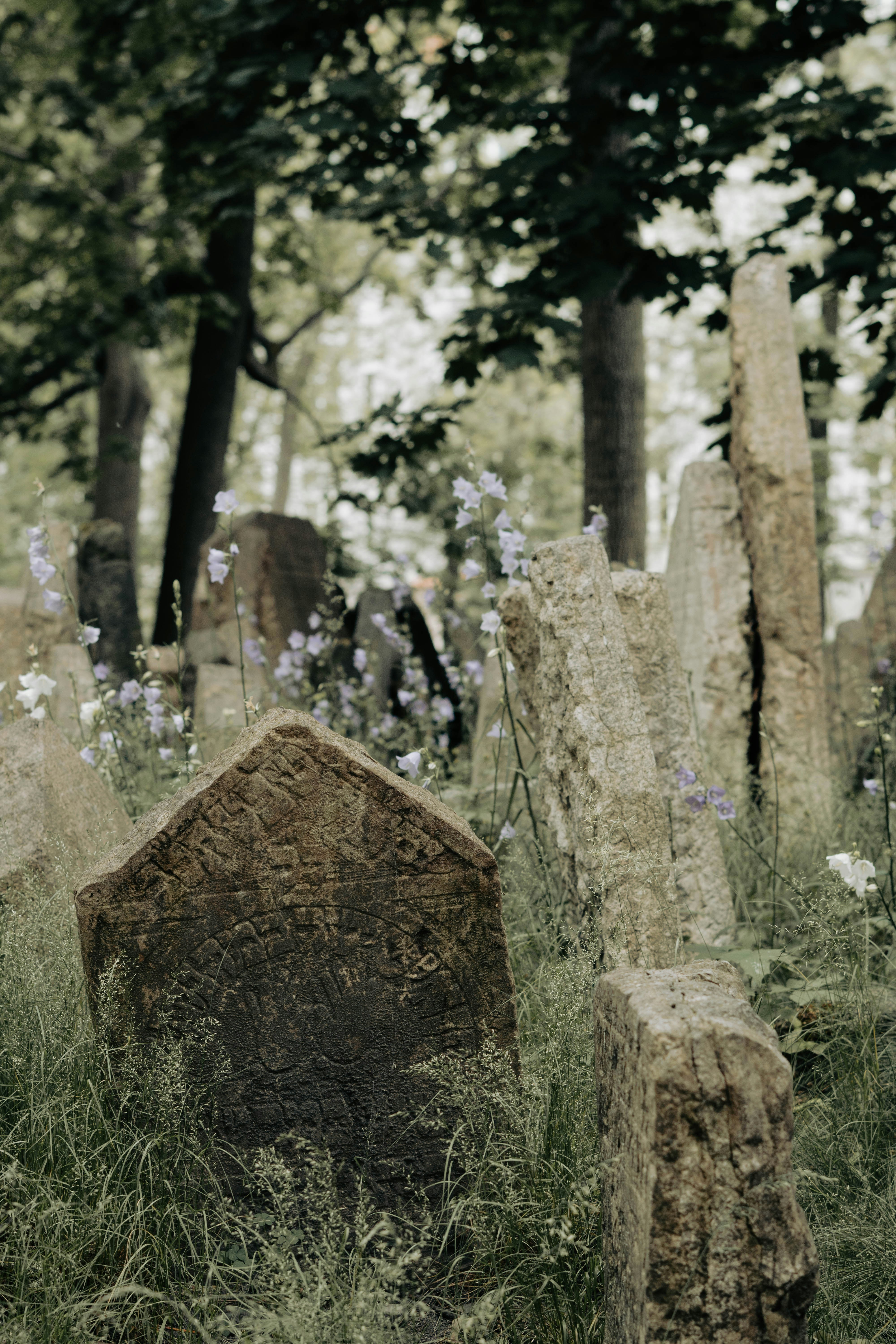 Picture 7 : Medieval Meets Modern in Krakow - Exploring Jewish Heritage and Kazimierz in Krakow