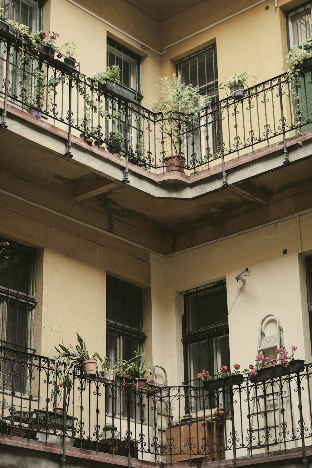 a balcony with plants on it