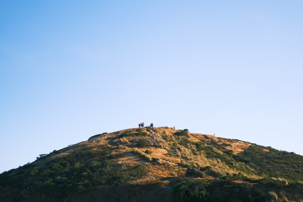 a group of people on a mountain