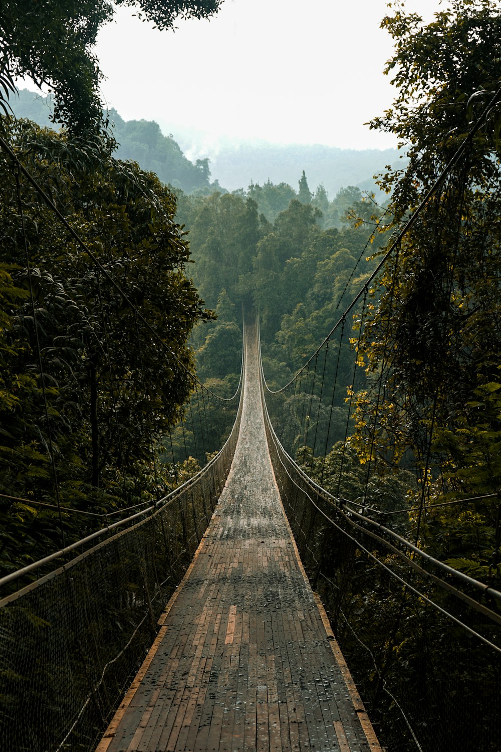 eine lange Holzbrücke