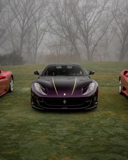 a purple sports car parked on grass