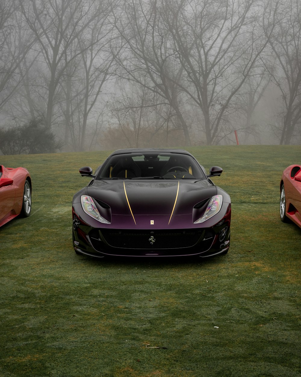 a purple sports car parked on grass