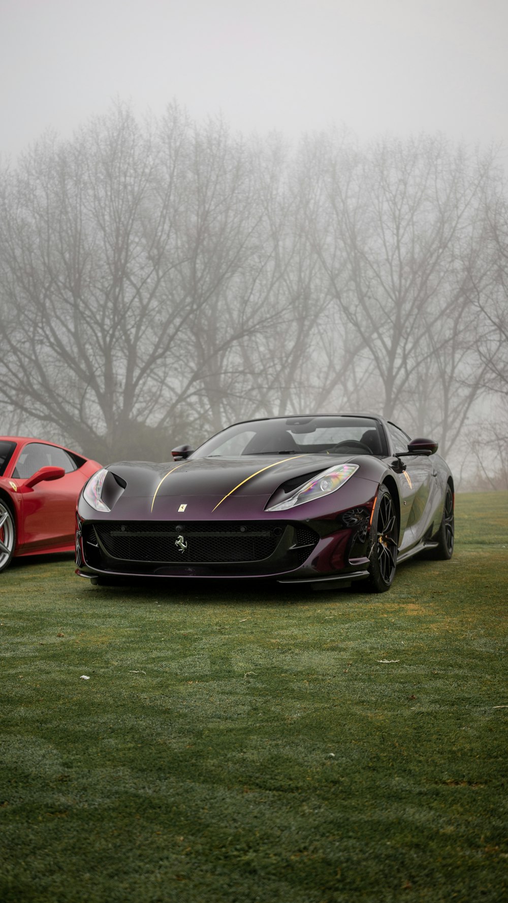 a black sports car parked on grass