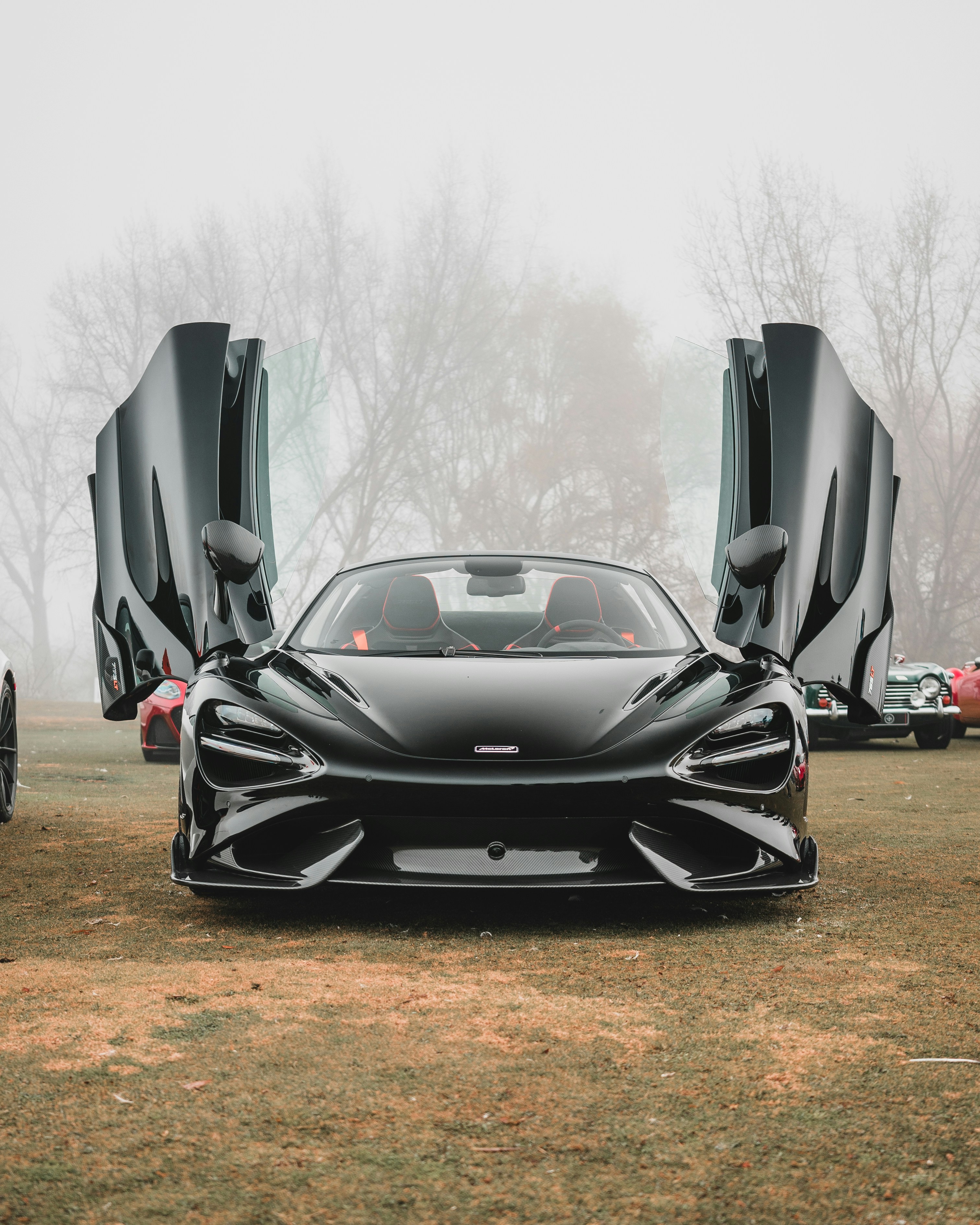 Photo by orellanaphcl