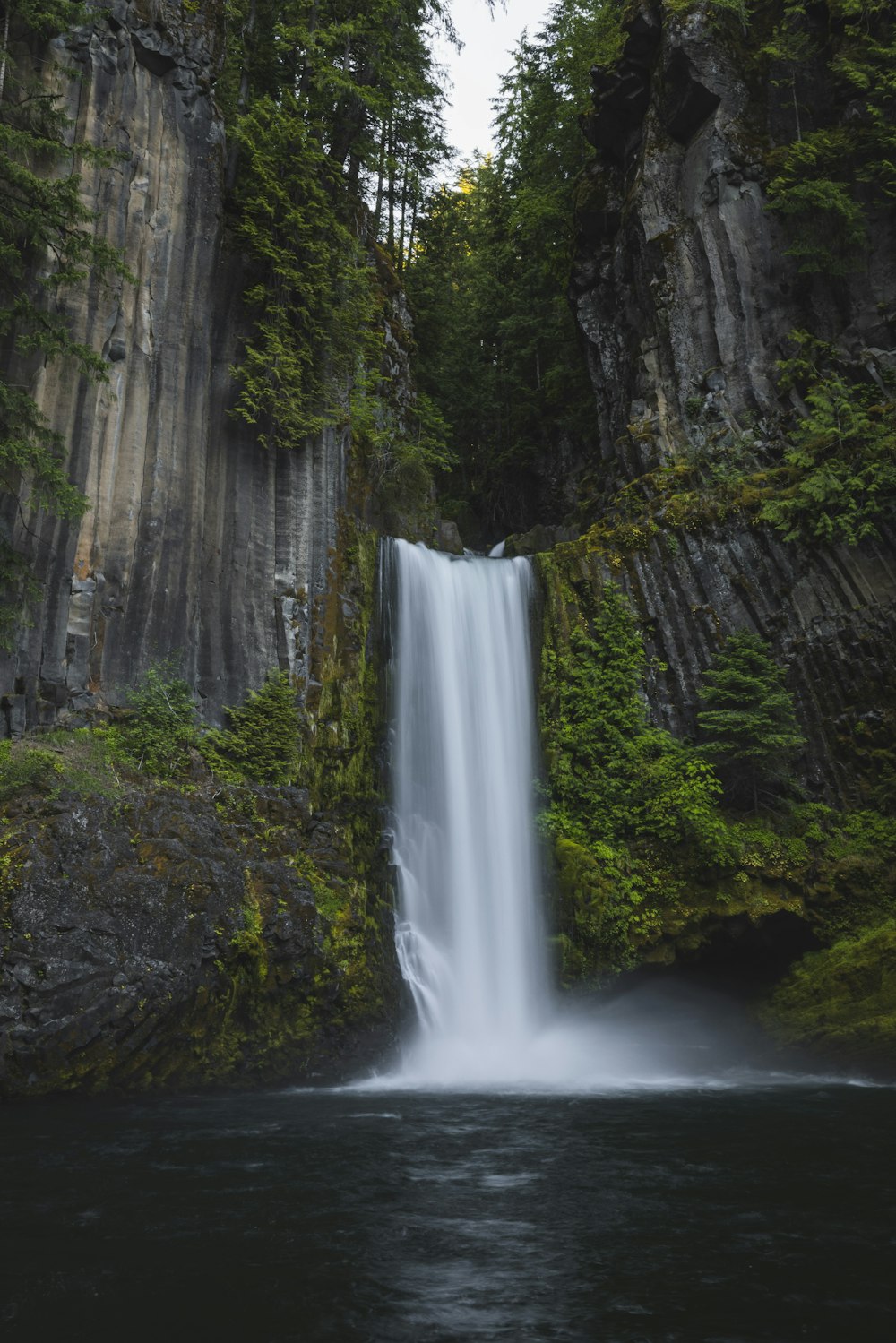 a waterfall in a forest