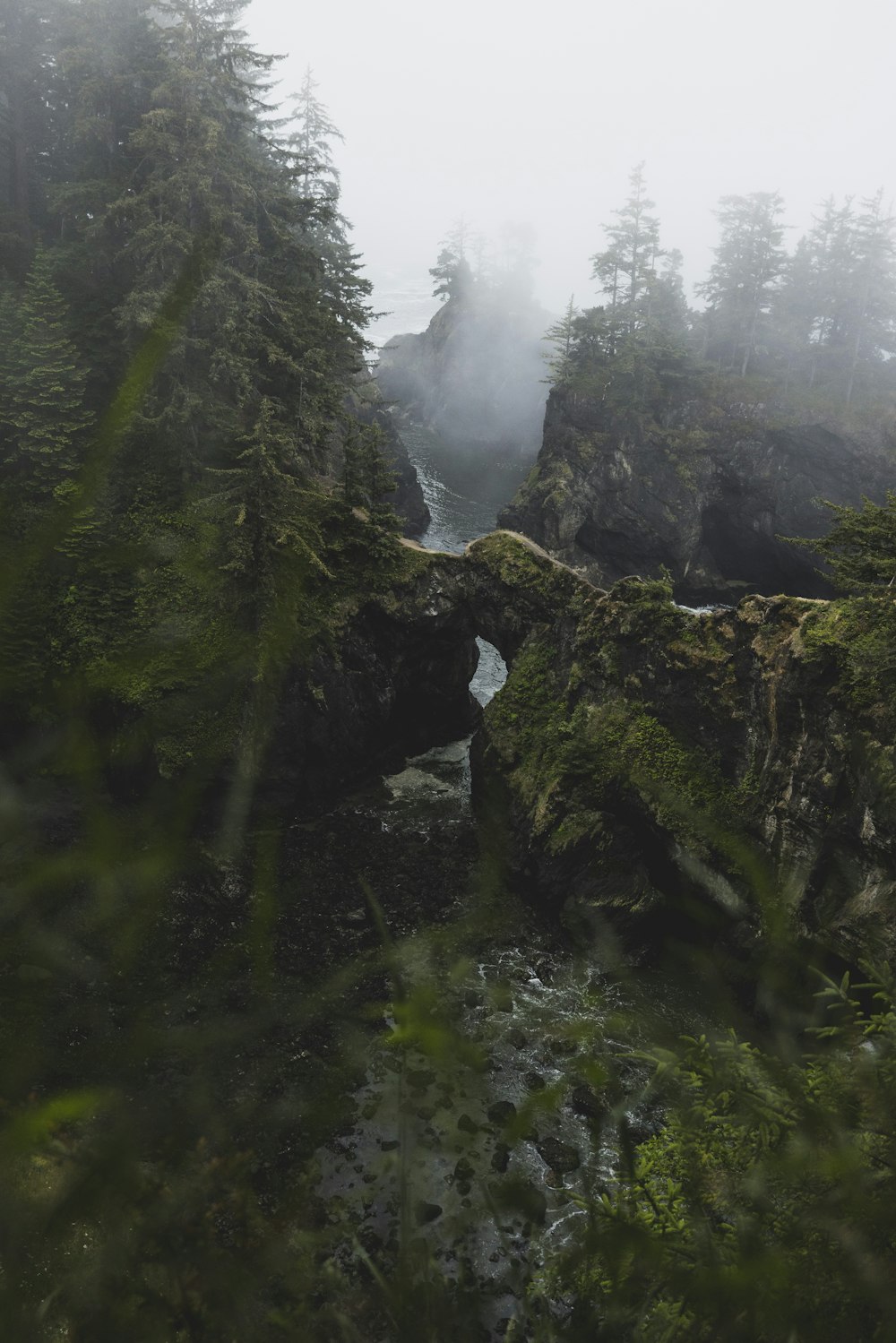 a waterfall in a forest