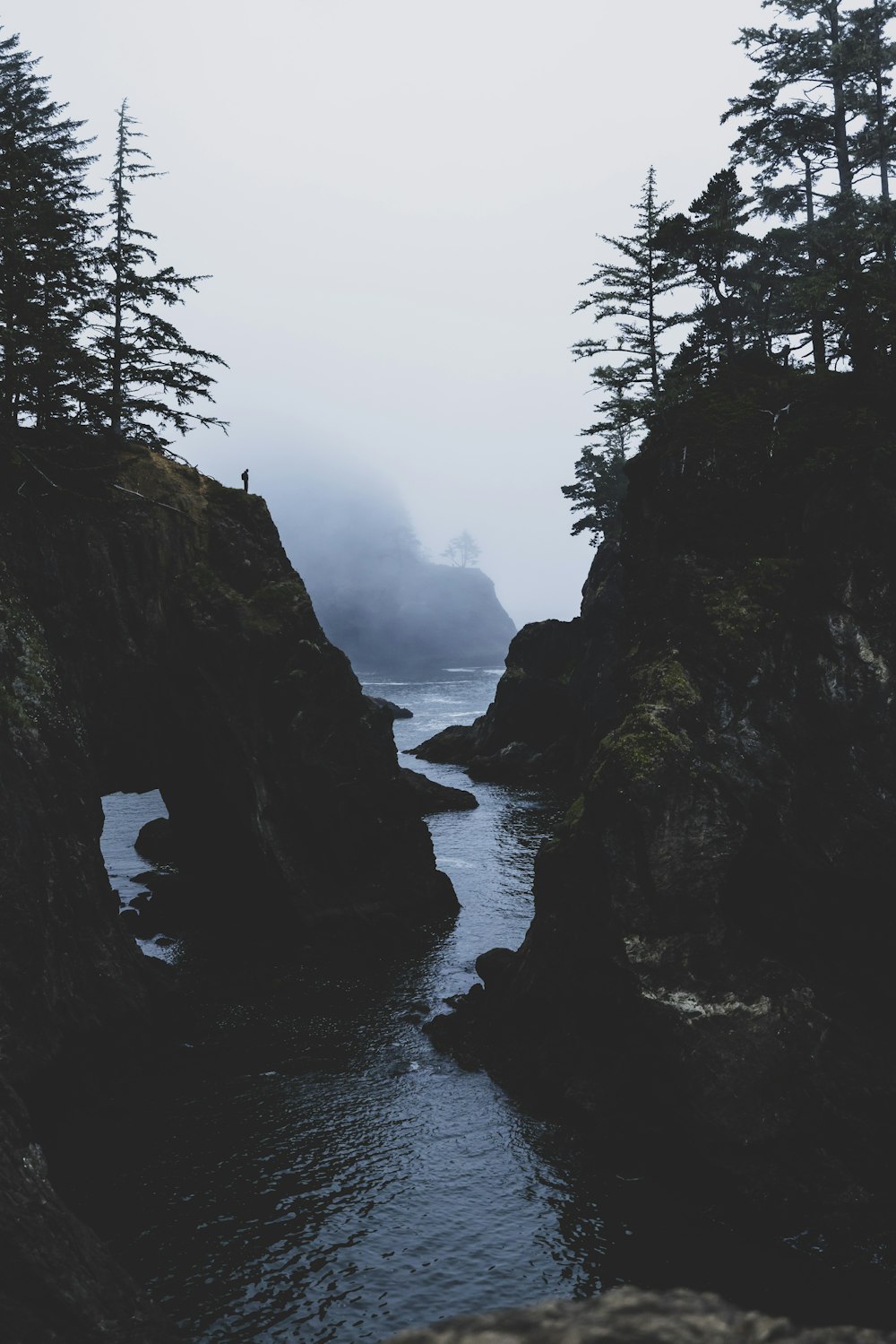 a river with trees on the side