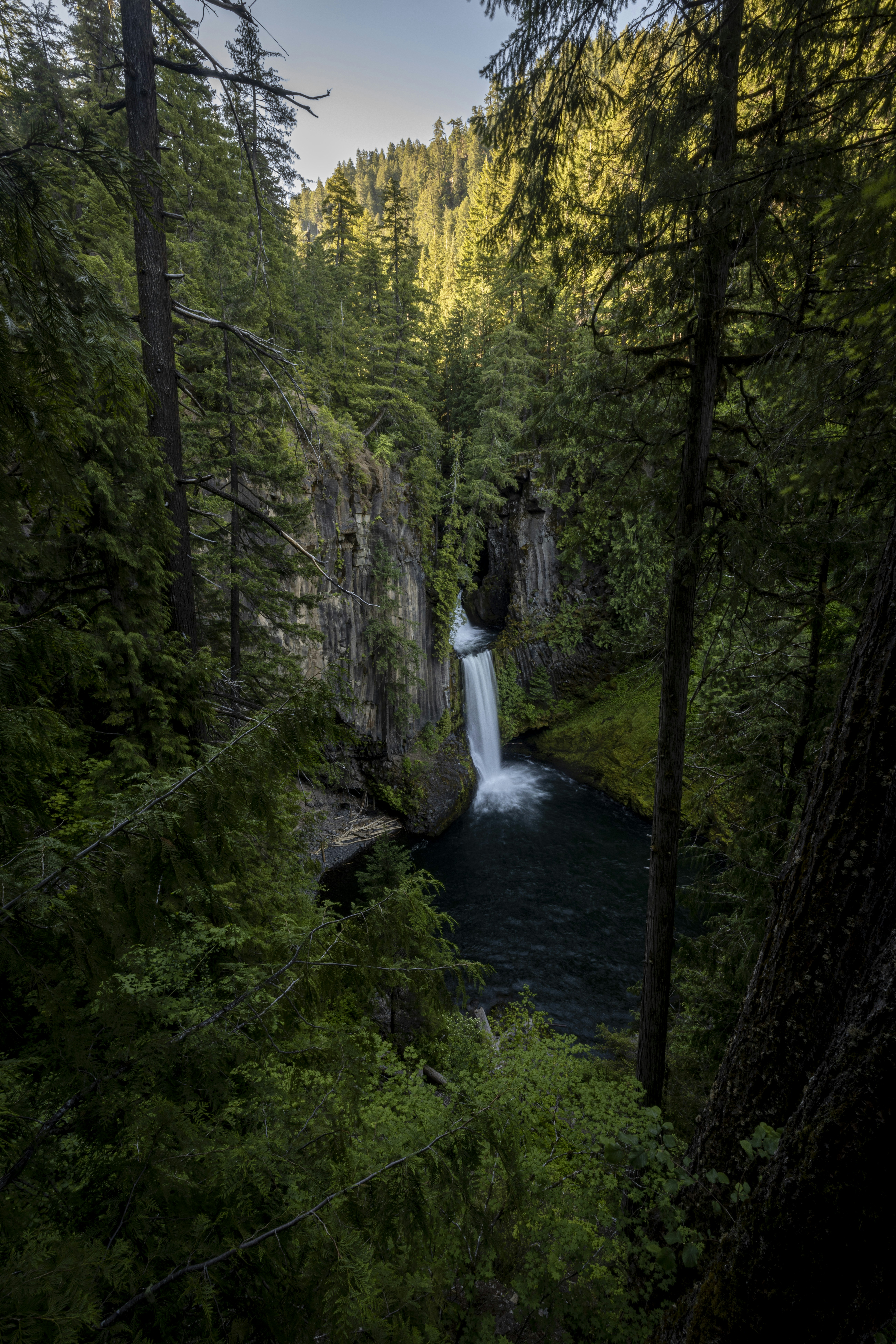 Photo by leo_visions_