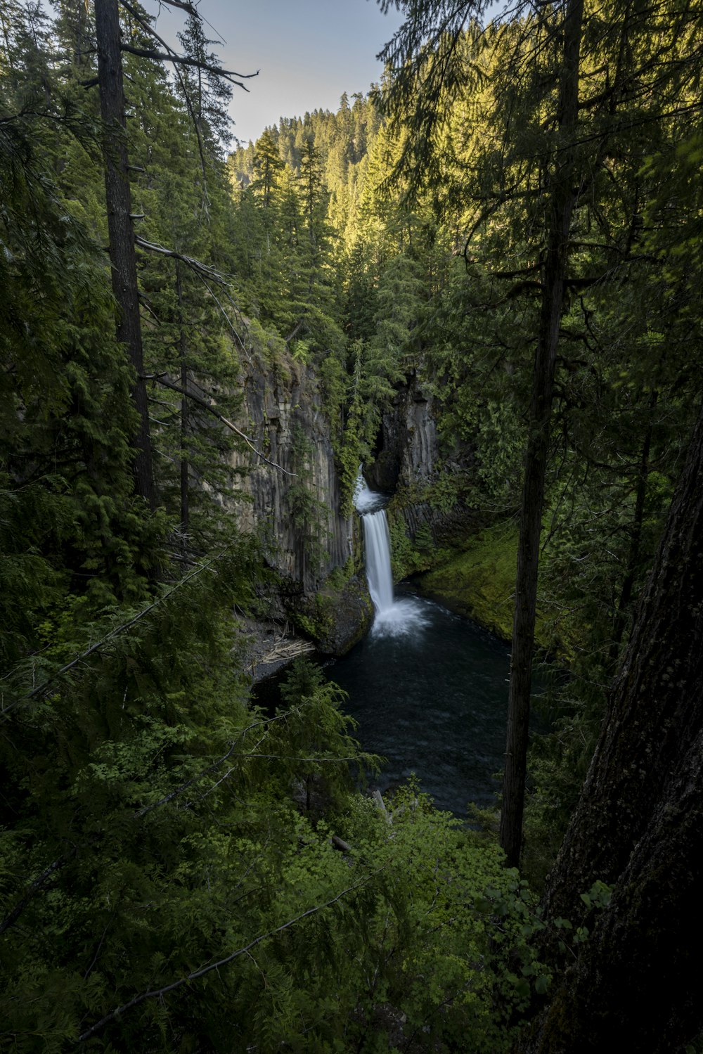 a waterfall in a forest