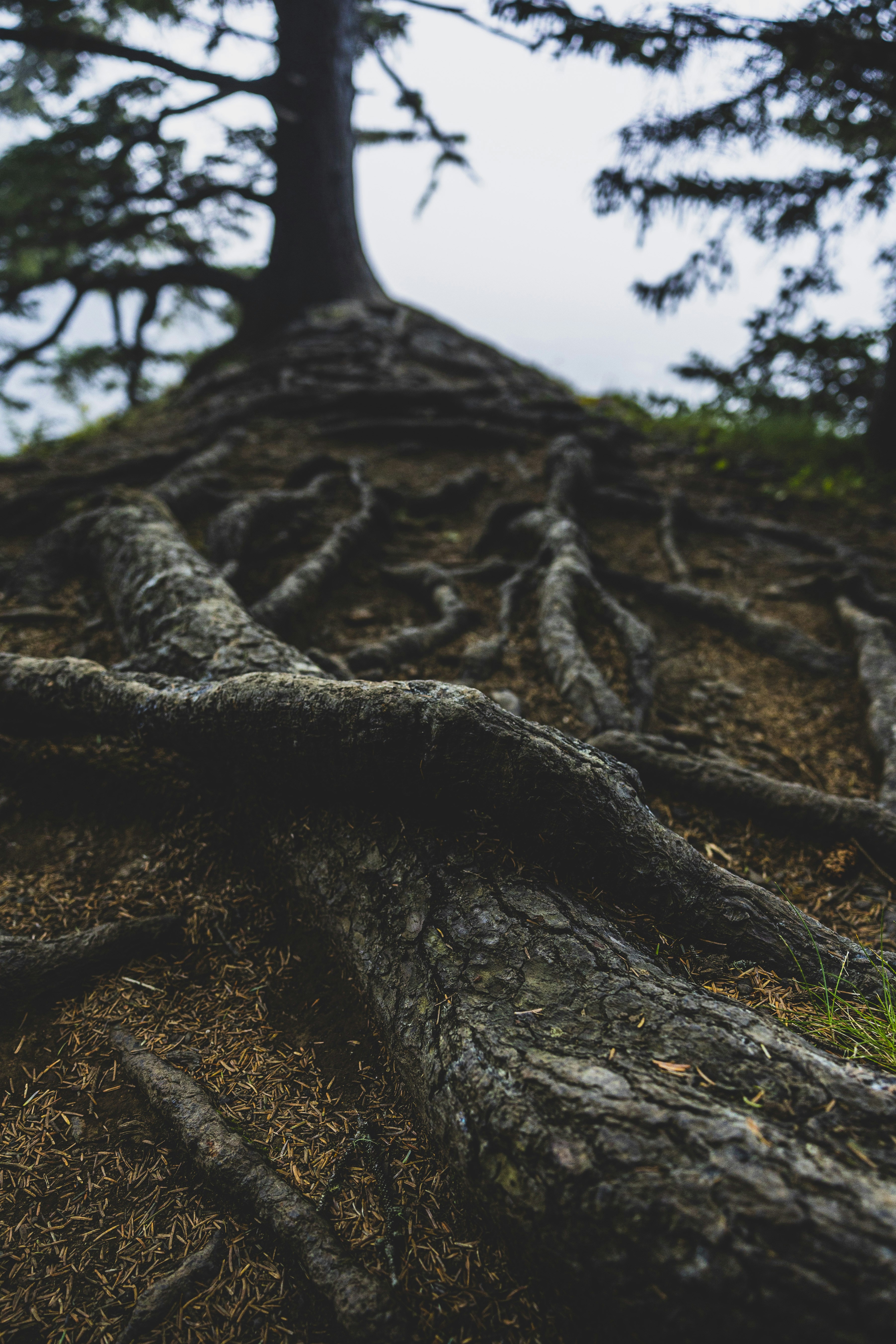 Photo by leo_visions_