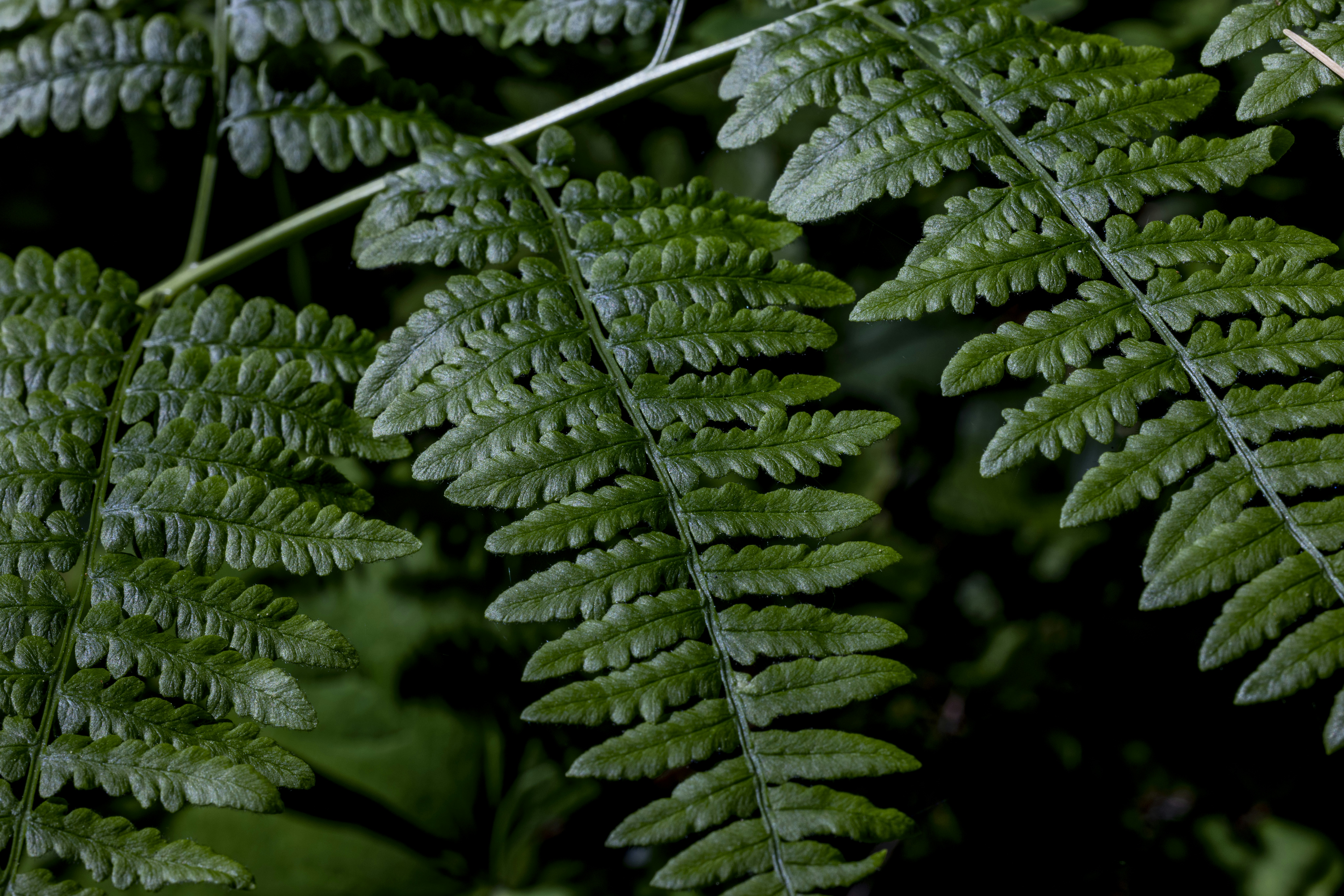 Photo by leo_visions_