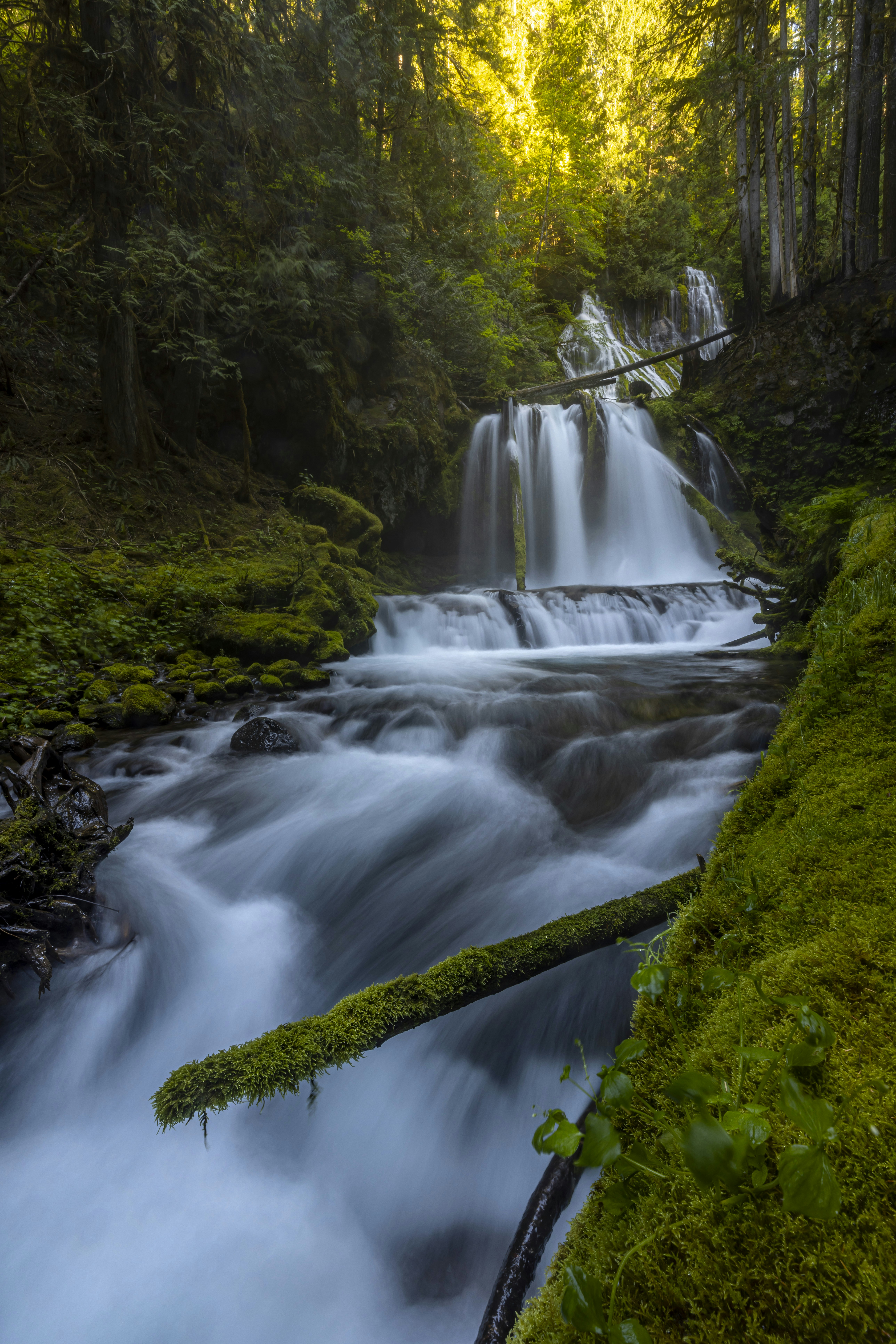 Photo by leo_visions_