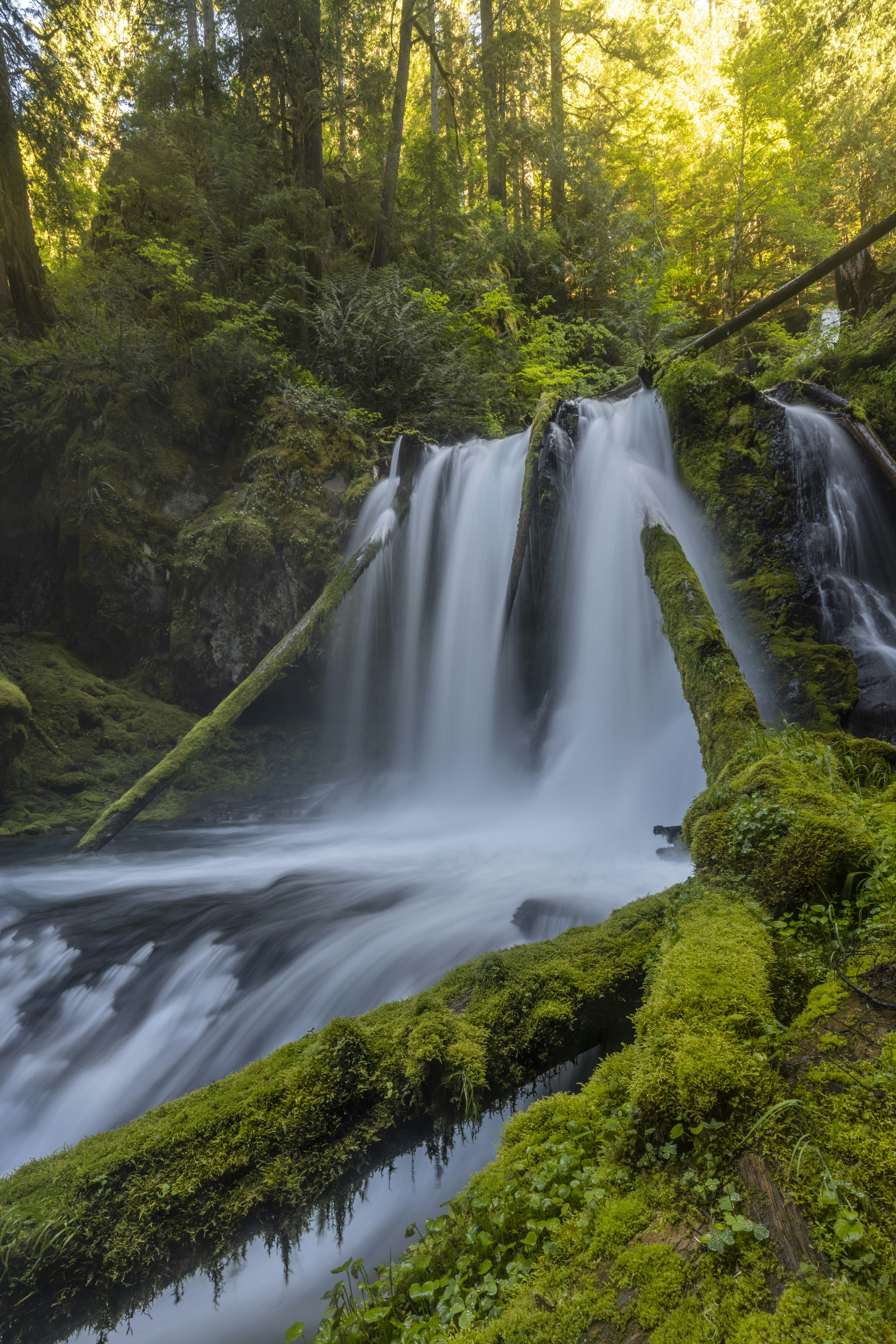 Waterfall in the forest