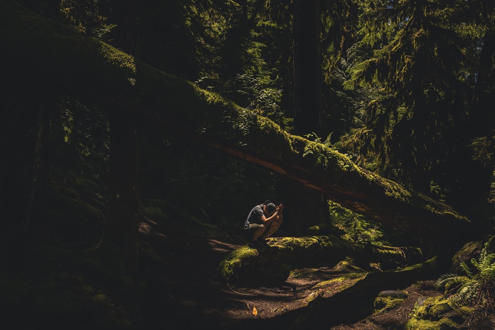 a person sitting on a log in a forest