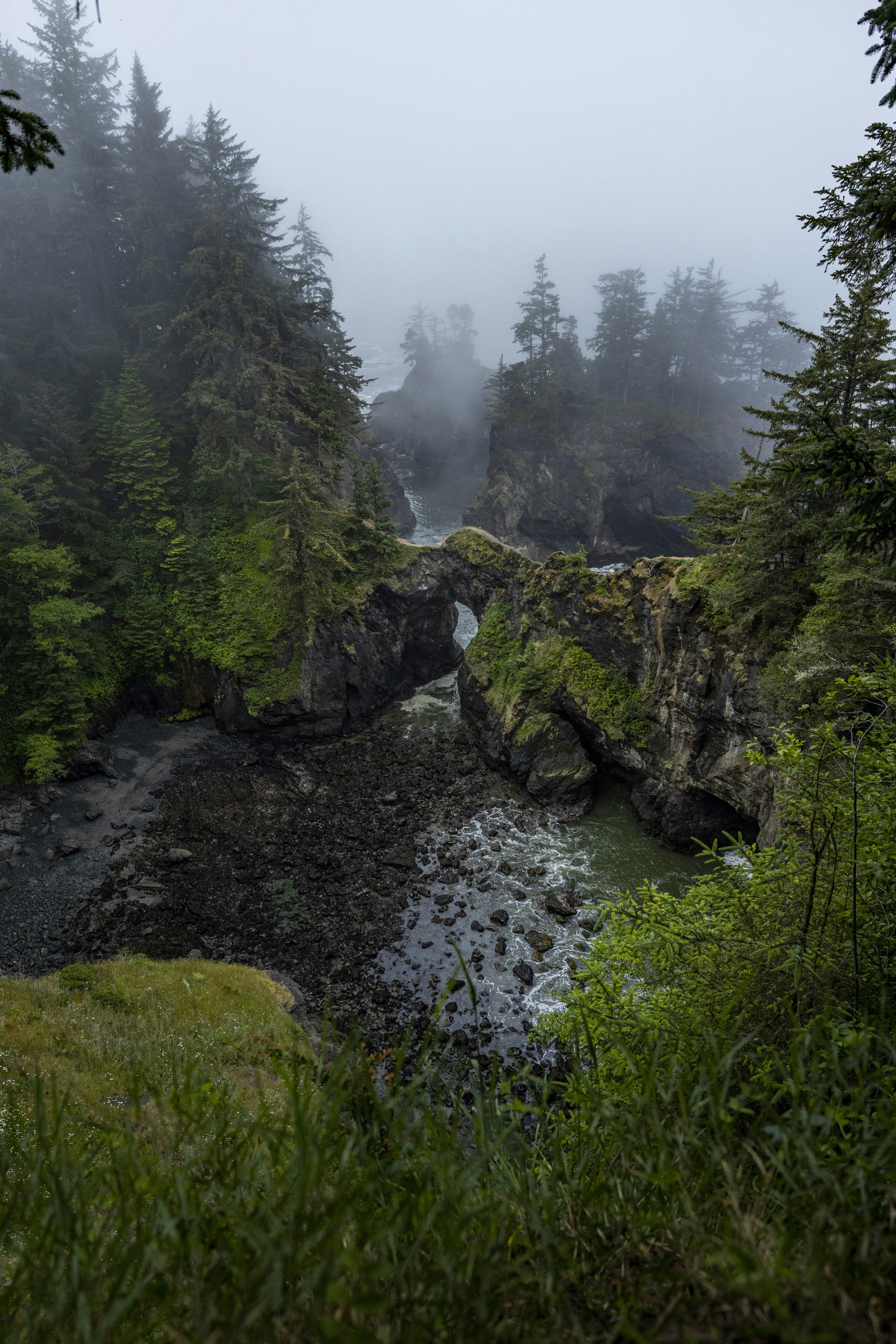 Photo by leo_visions_