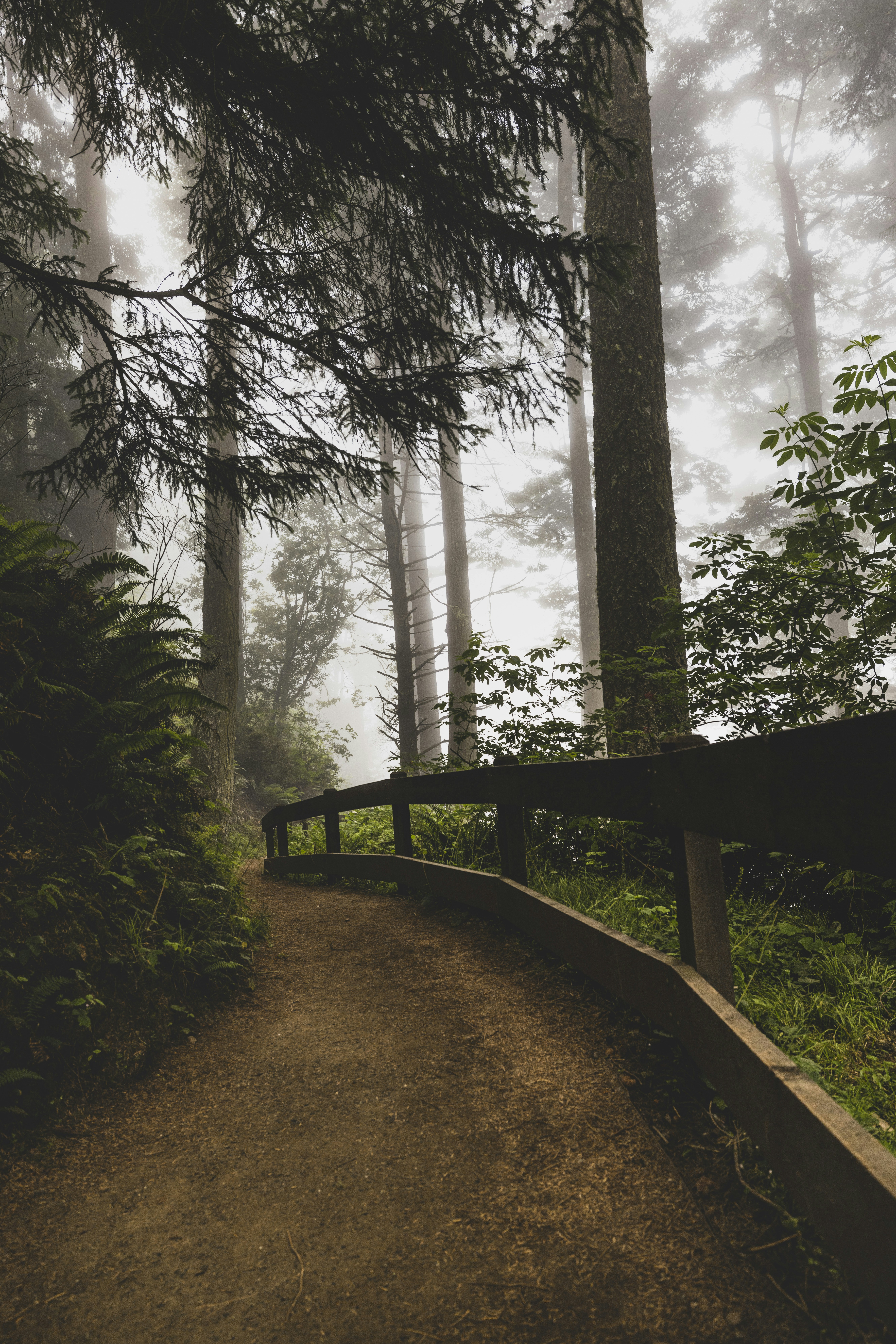 Photo by leo_visions_