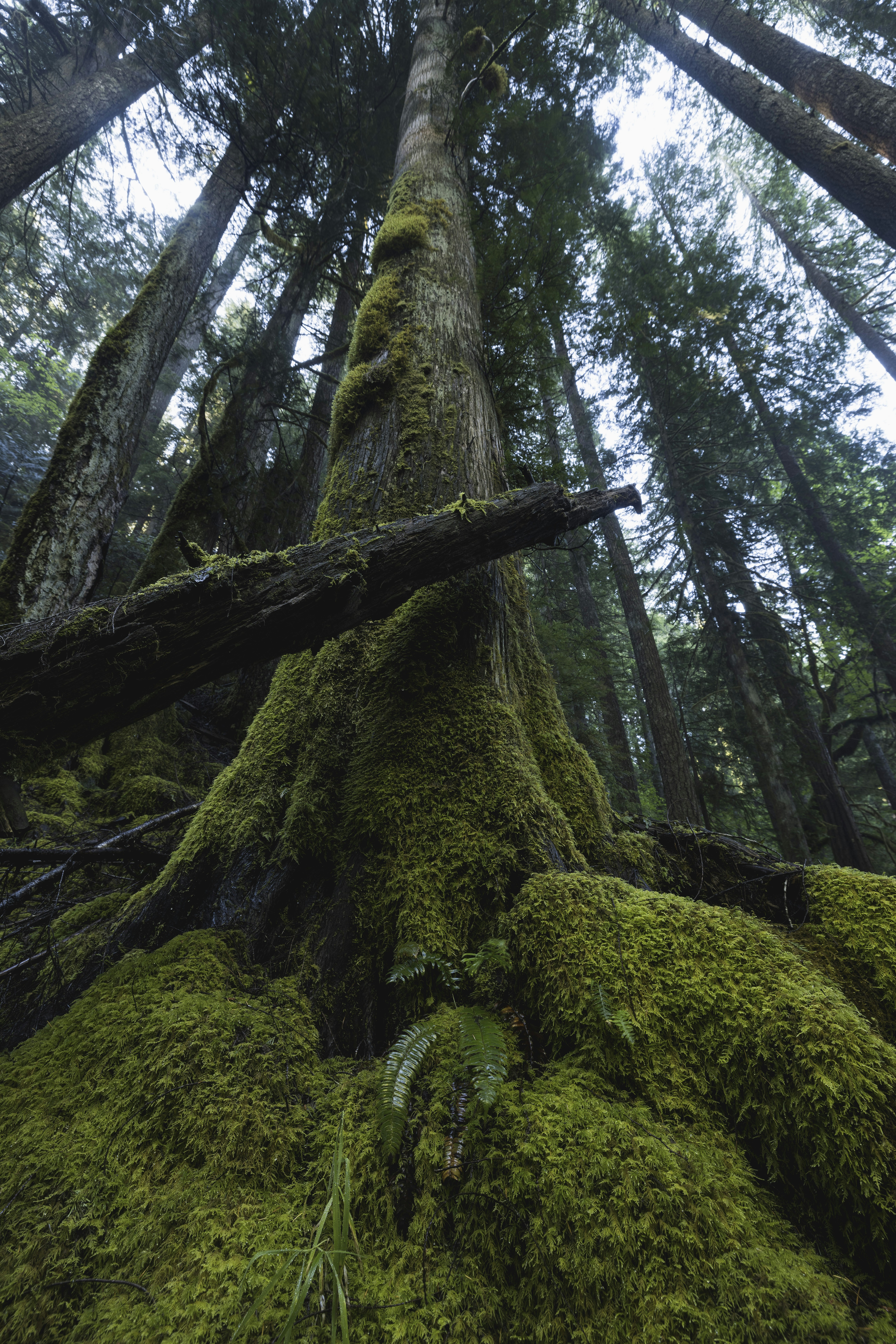 Photo by leo_visions_