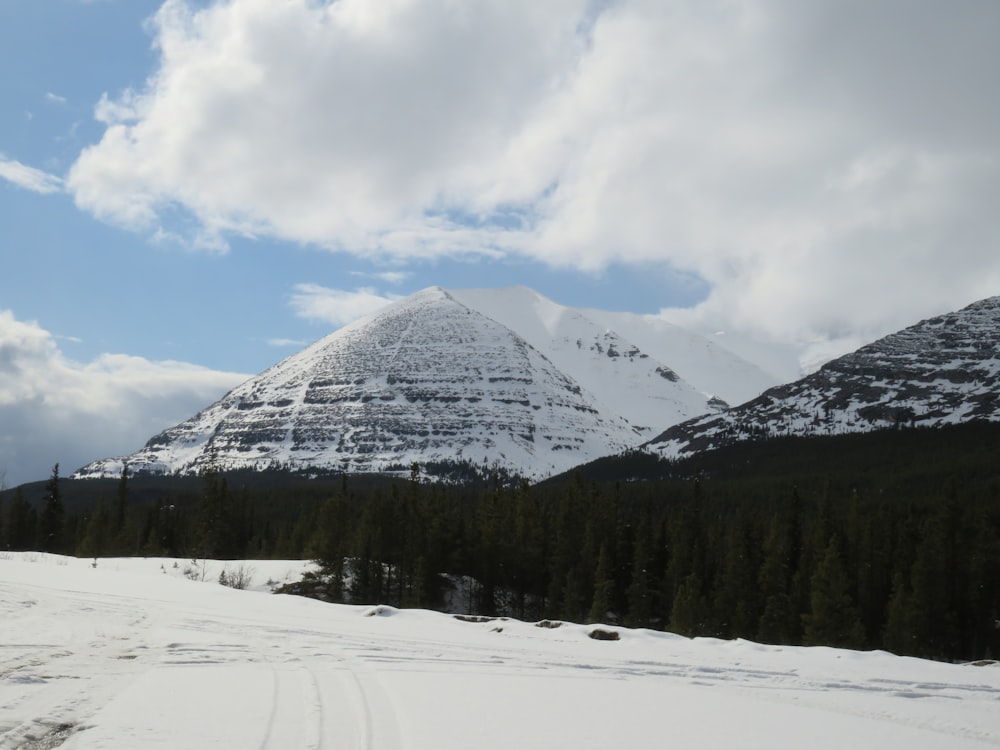 a snowy mountain with trees and a cloudy sky