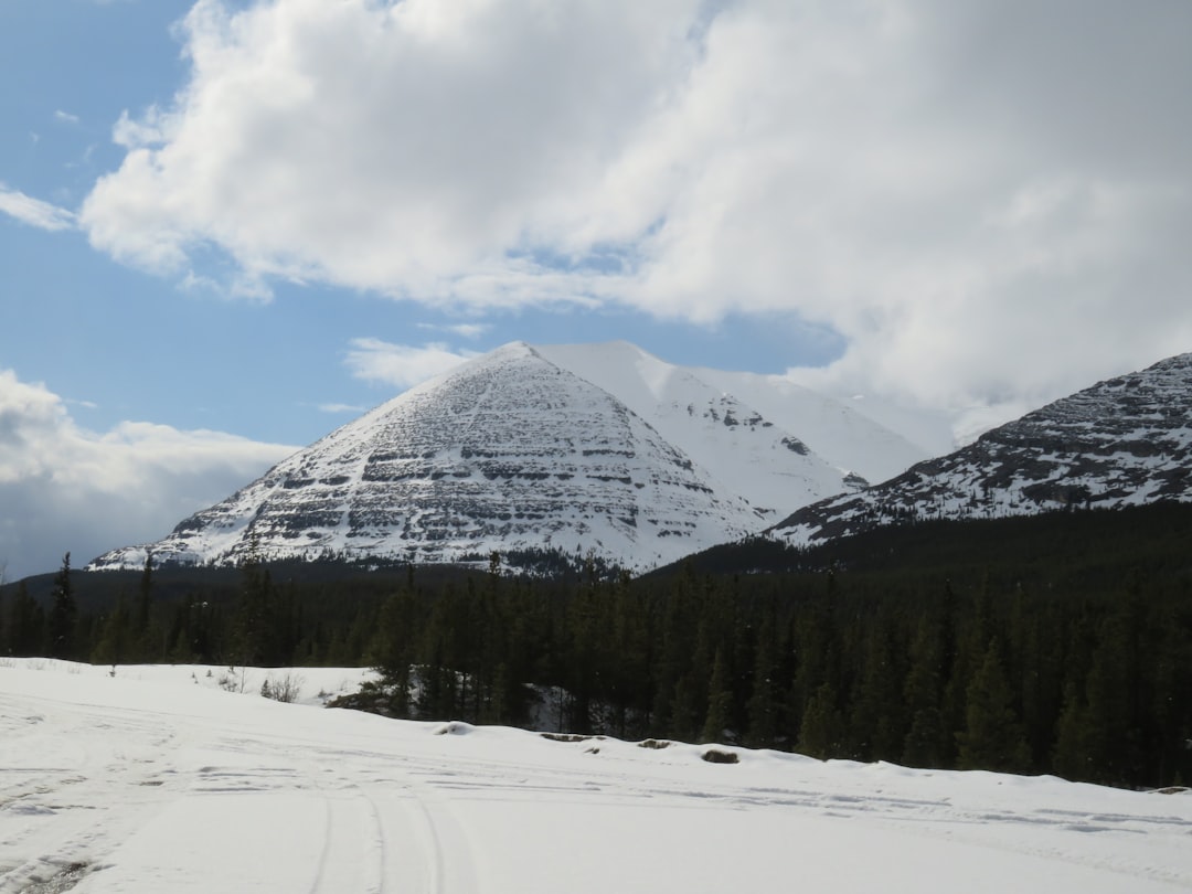 a snowy mountain with trees and a cloudy sky,