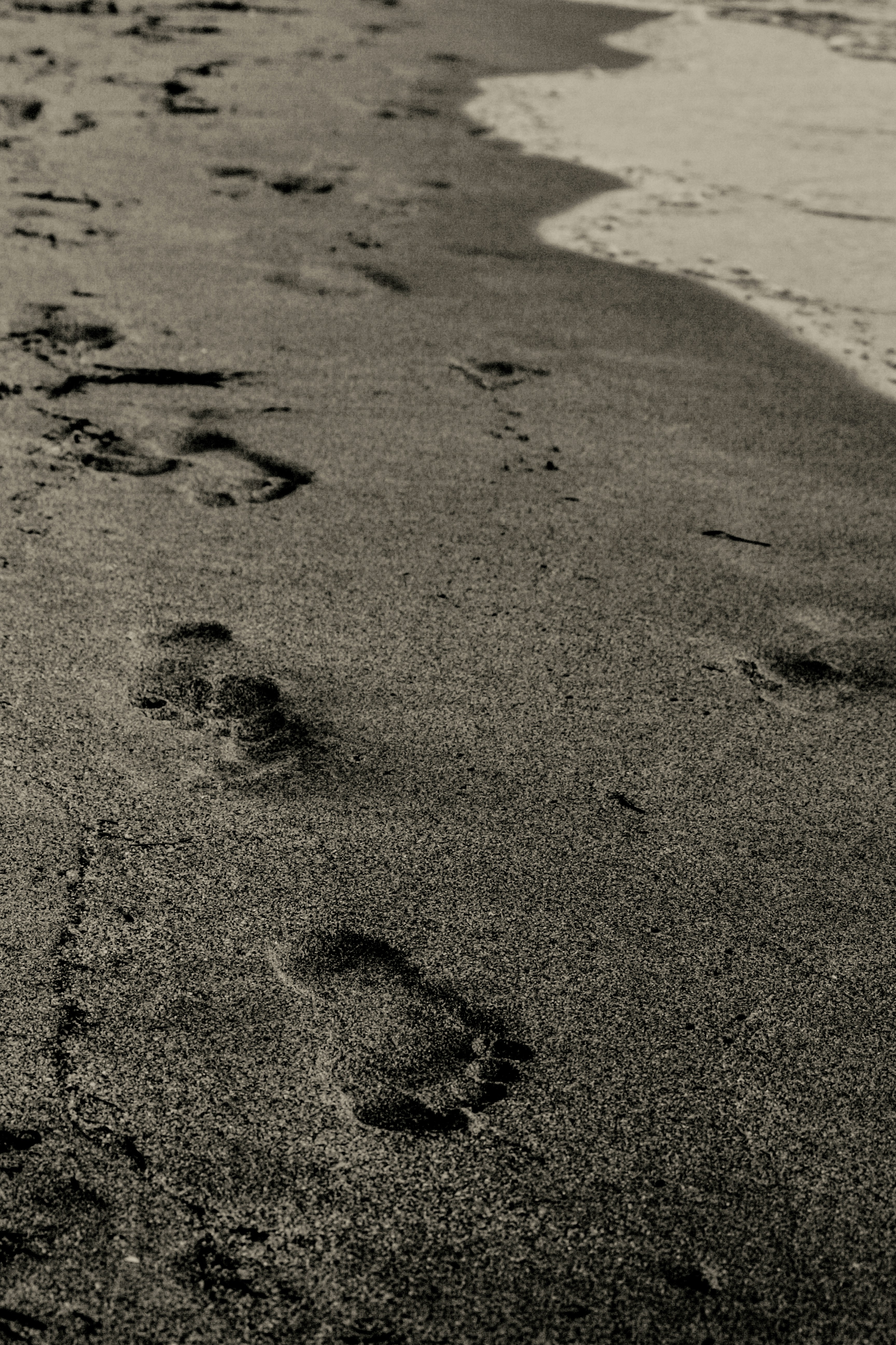 Photo by miloslopusina