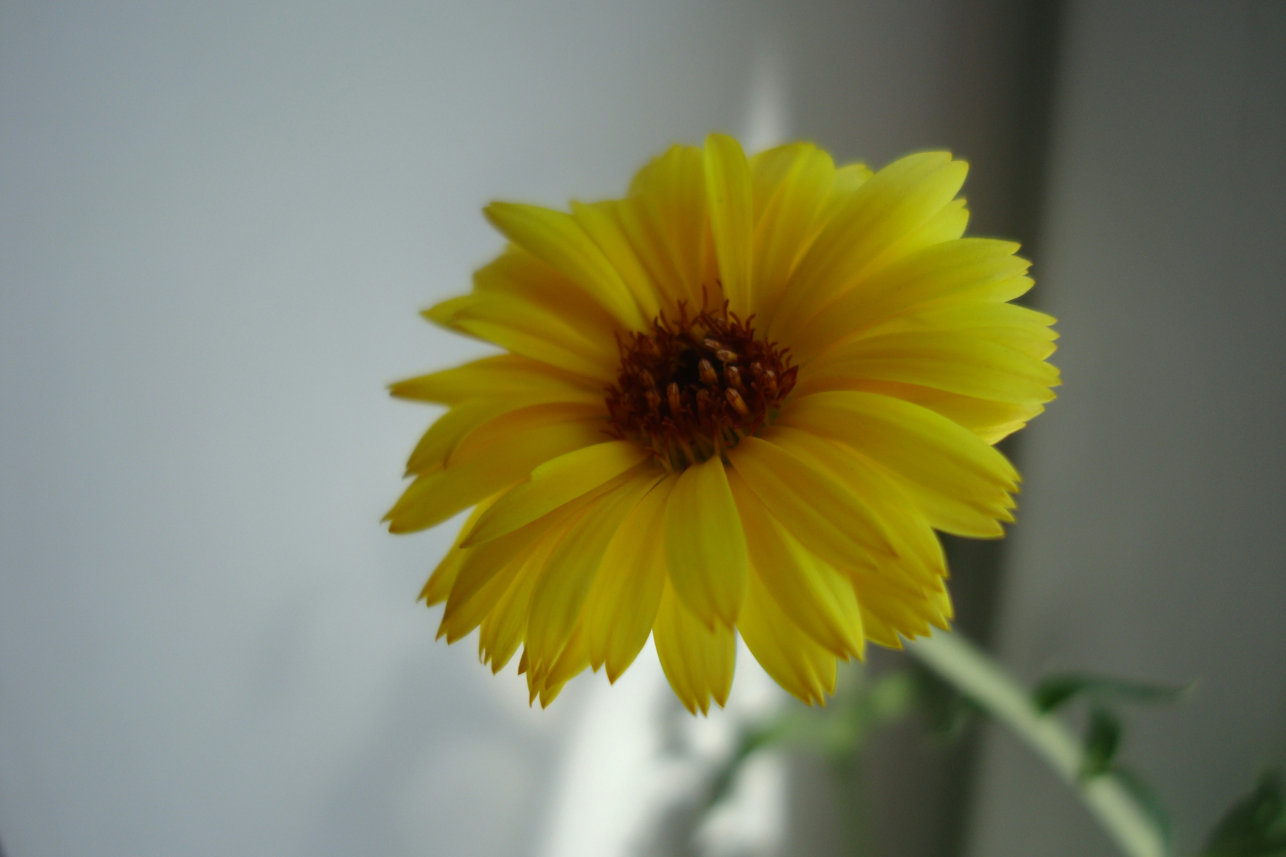 Photo by mashaaaaaaaa