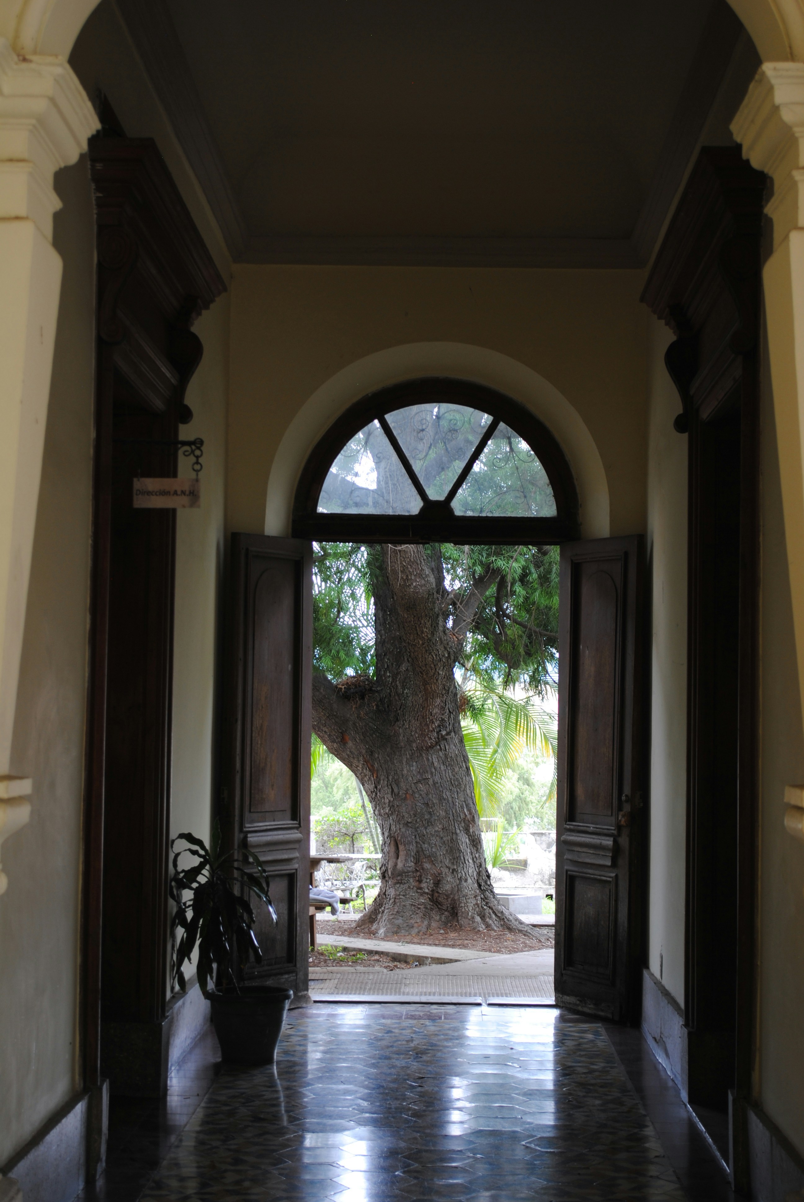 Photo by curiousjorge