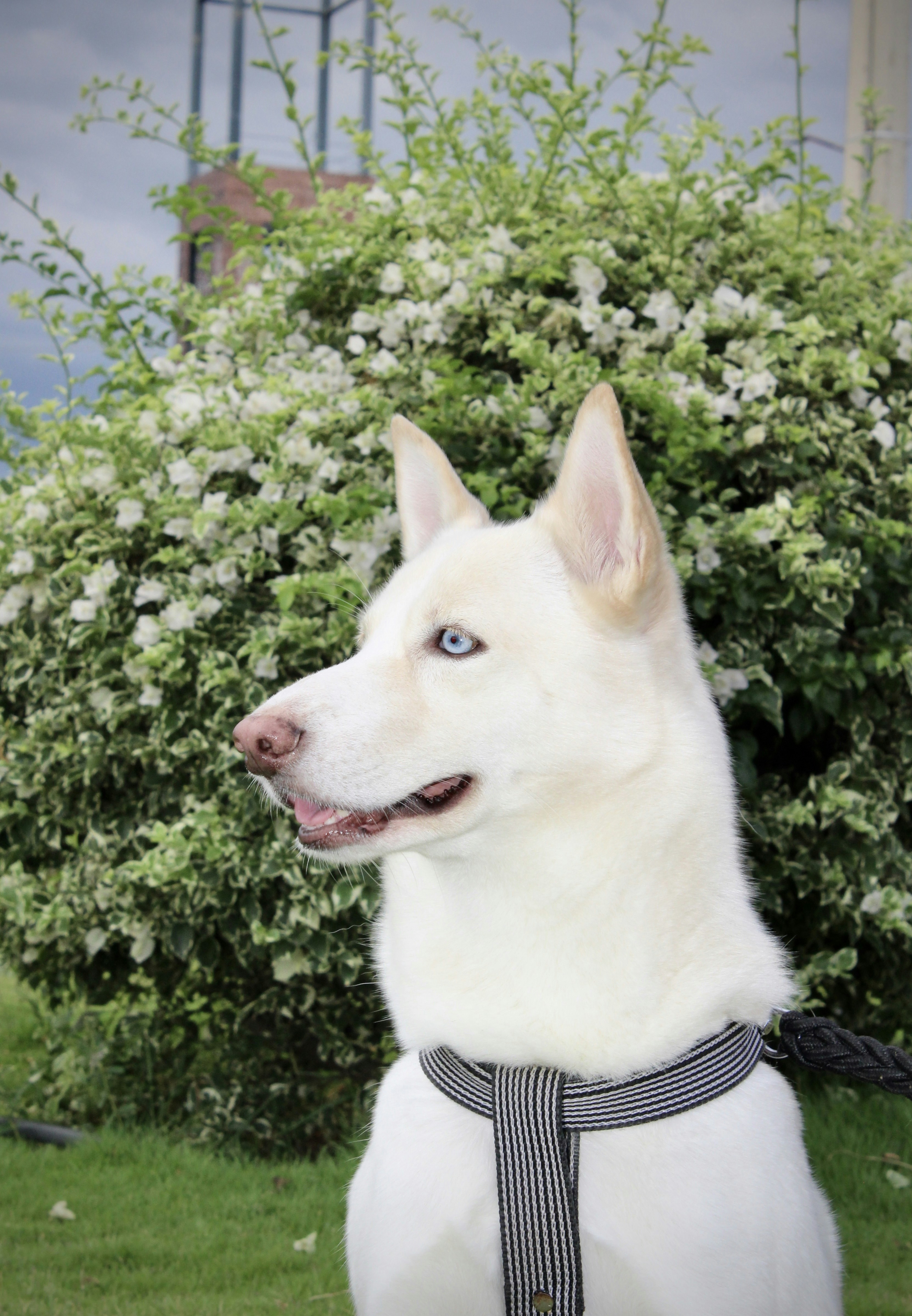 Photo by albertorellano