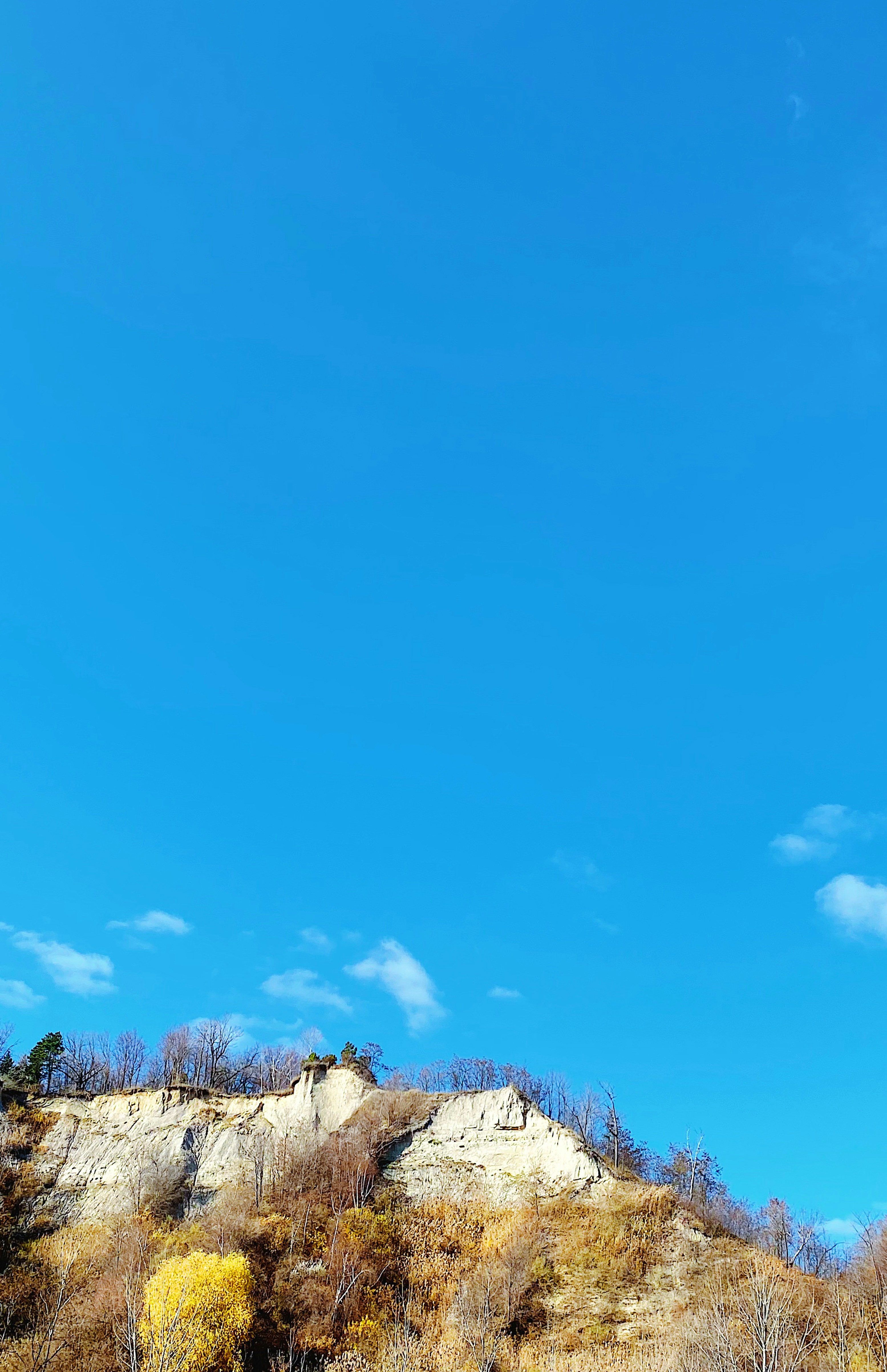 a hill with trees on it