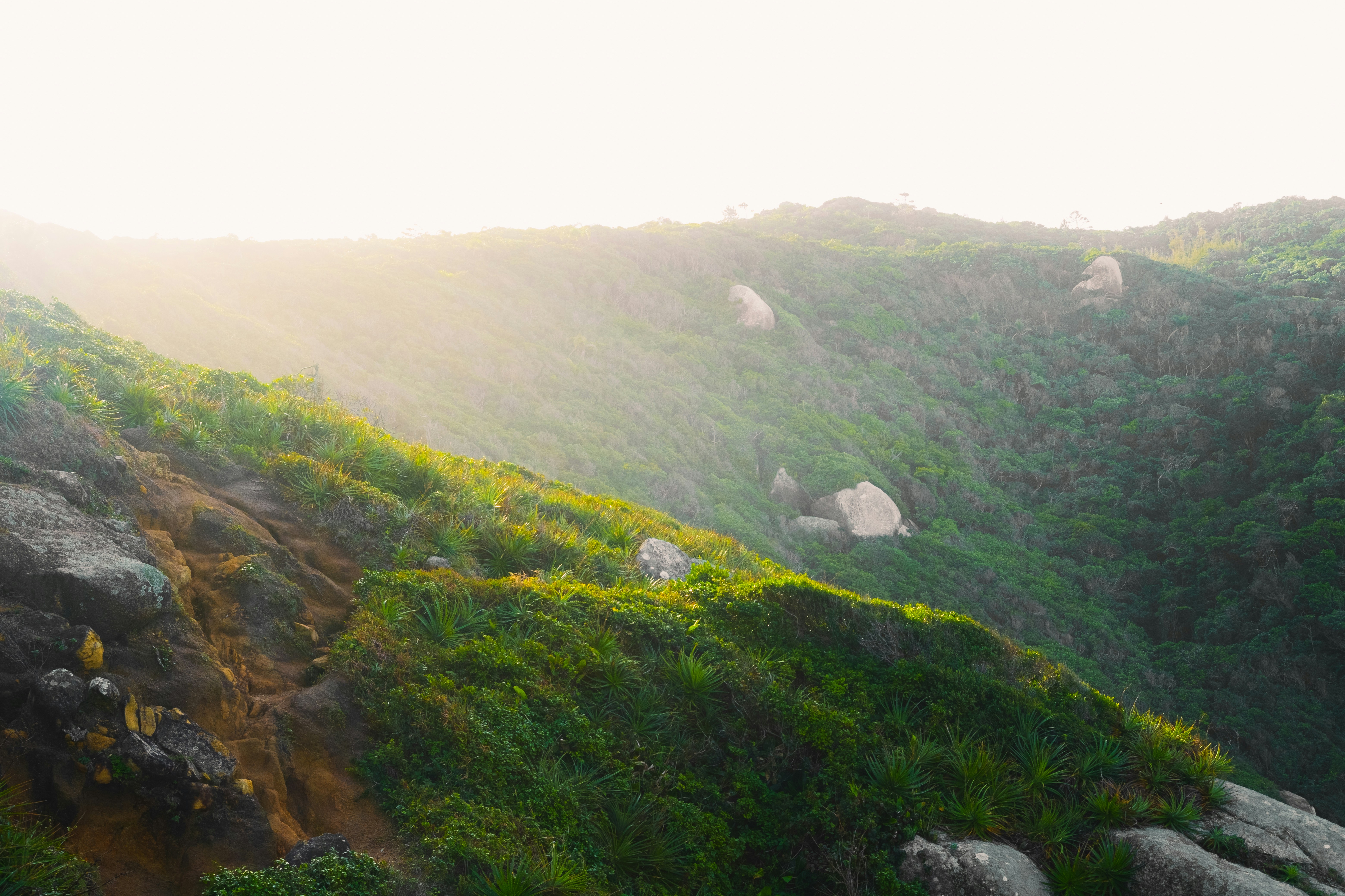 Photo by vanya_nichego