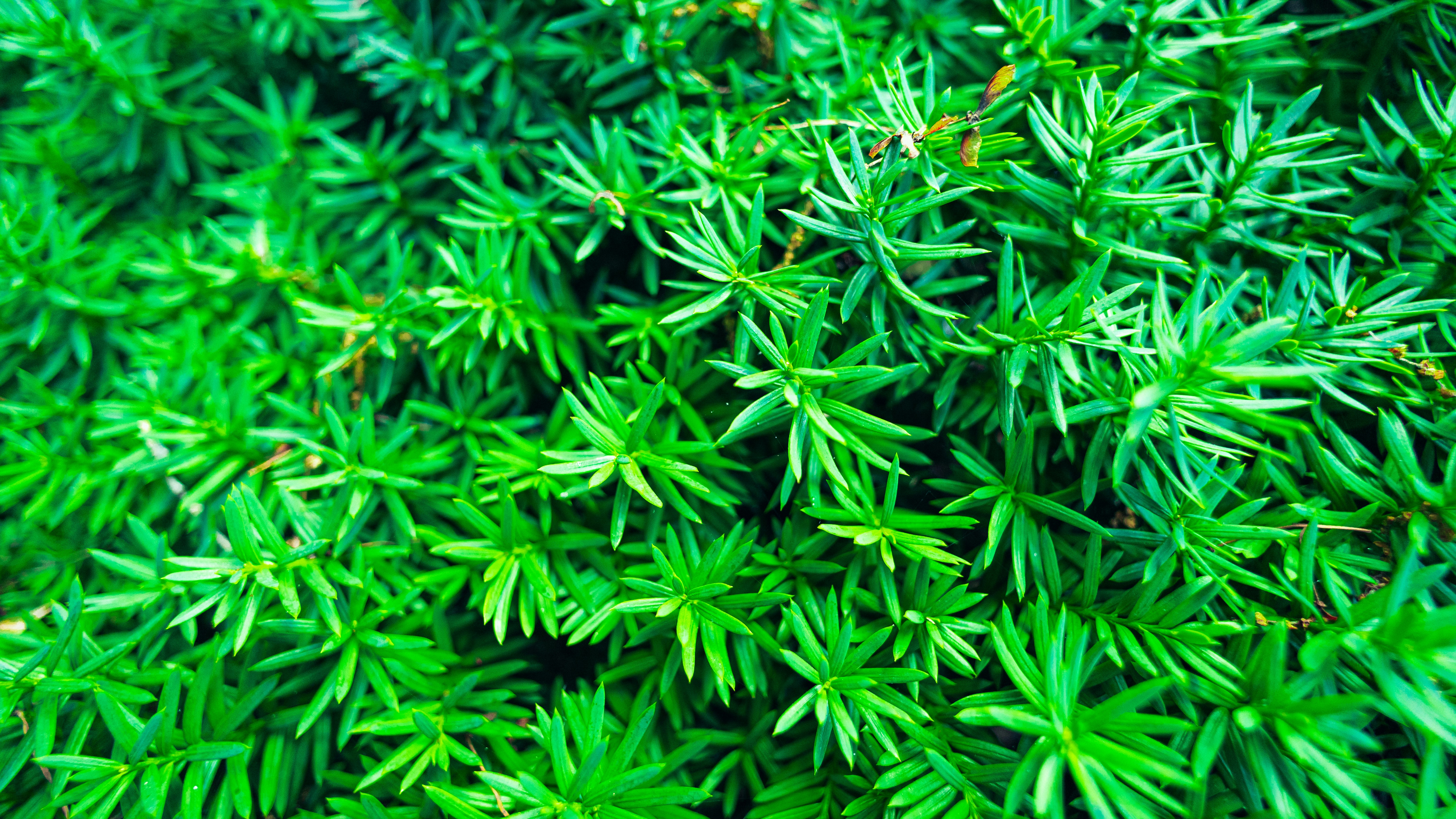 Photo by hanyangzhang